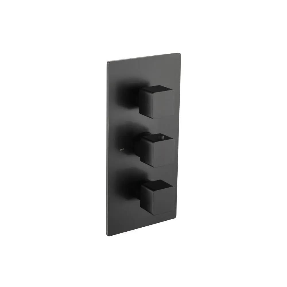 Flusso Serie 196 3/4" Thermostatic Valve and Trim - 2 Outputs by Flusso