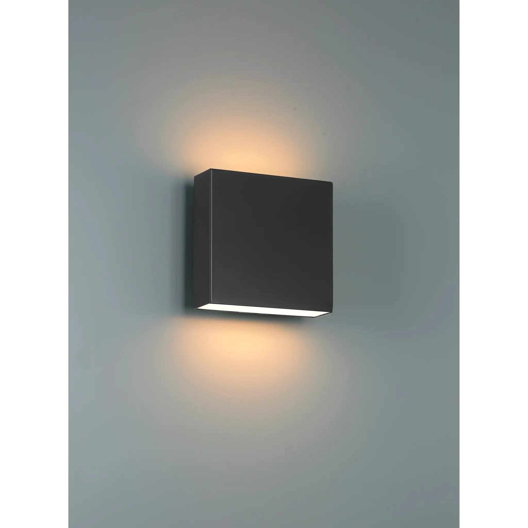black led wall mount
