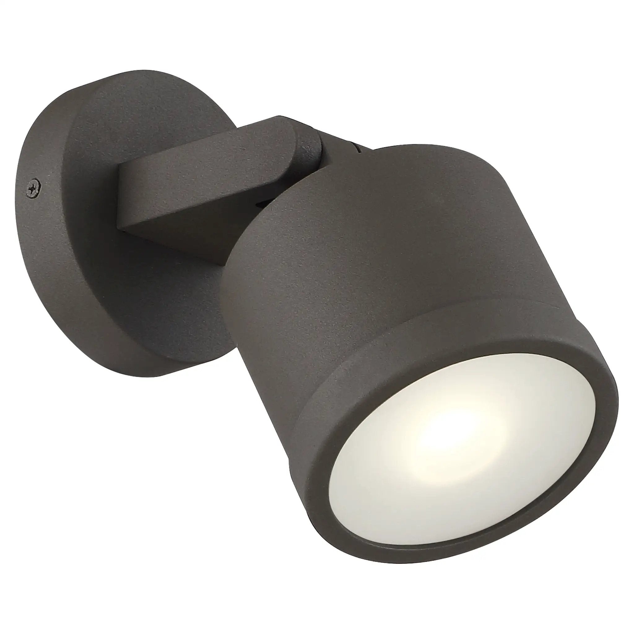 bronze outdoor adjustable light