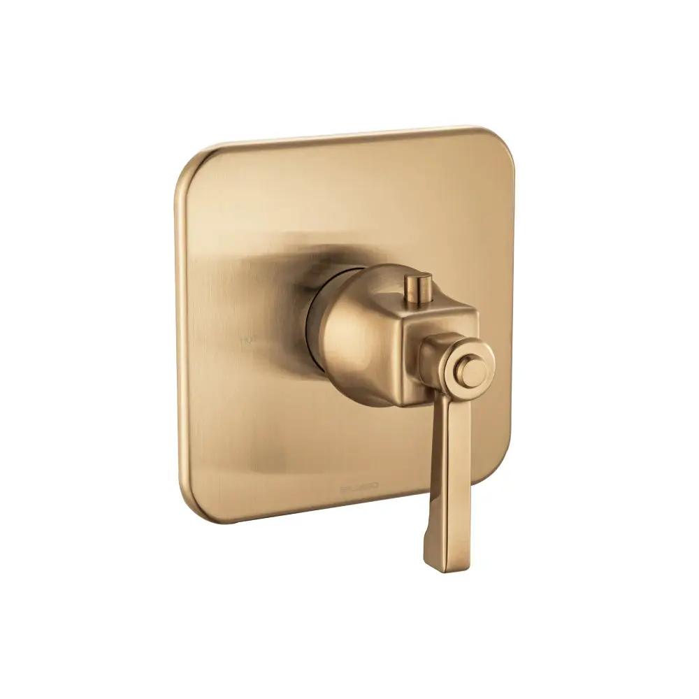 Flusso Serie 270 3/4" Thermostatic Valve with Trim by Flusso