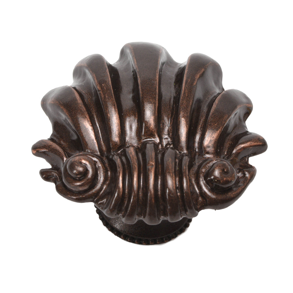 Carpe Diem Shell Large Knob