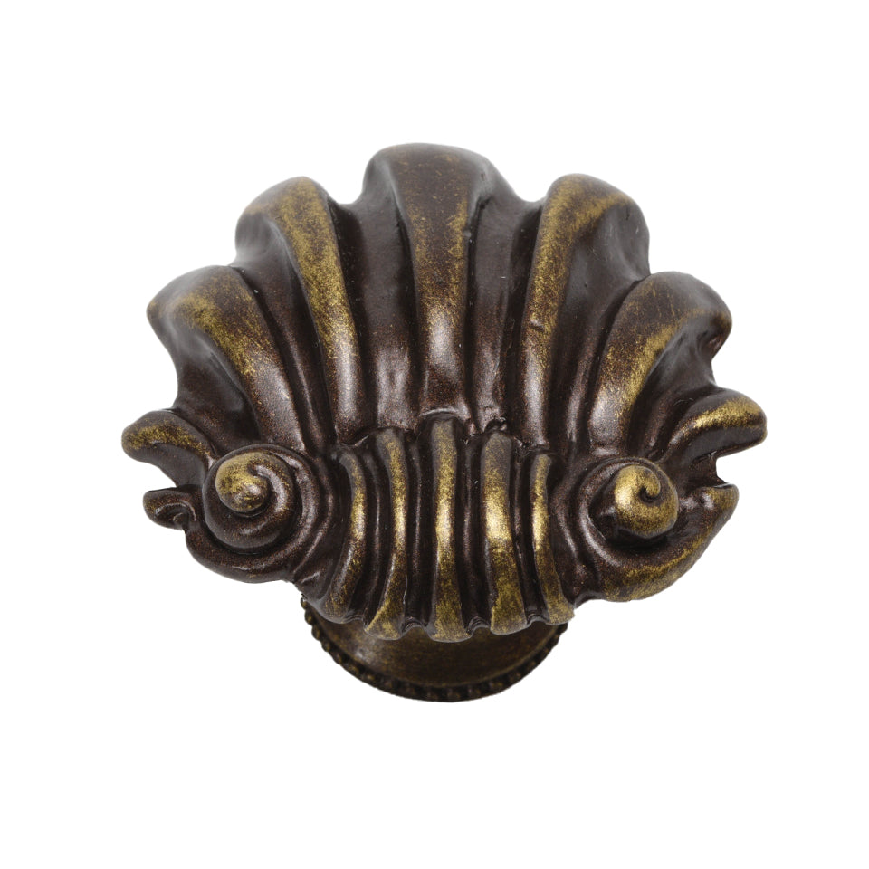 Carpe Diem Shell Large Knob
