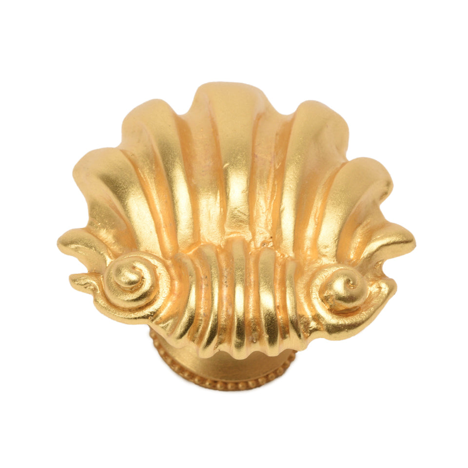 Carpe Diem Shell Large Knob