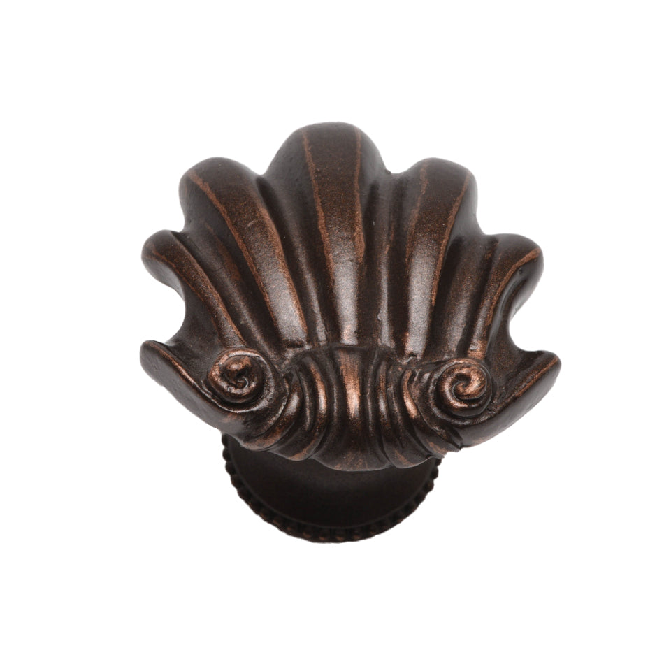 Carpe Diem Shell Medium Knob