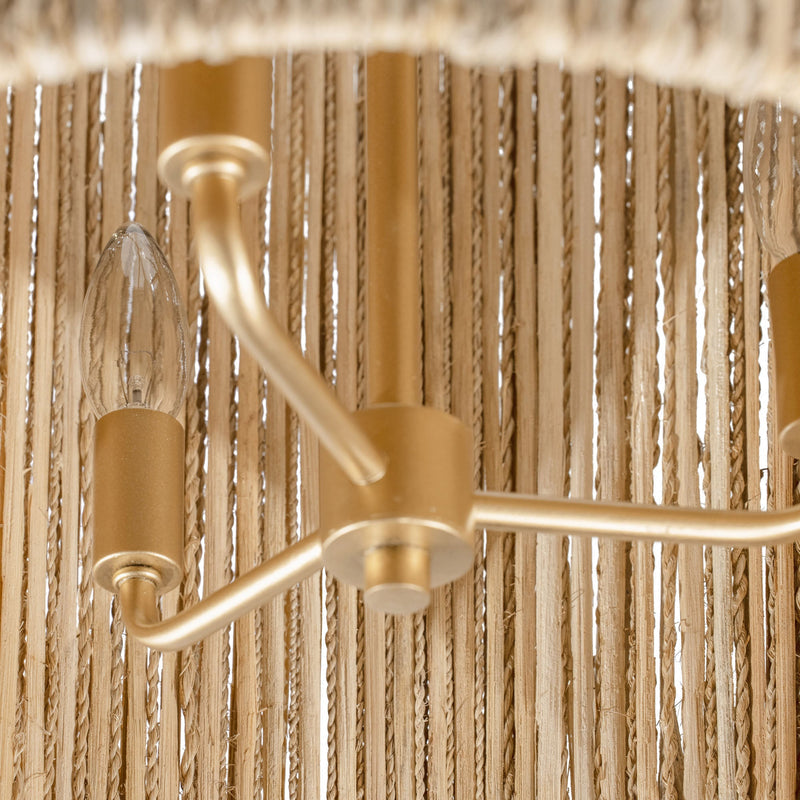 french gold pendant light