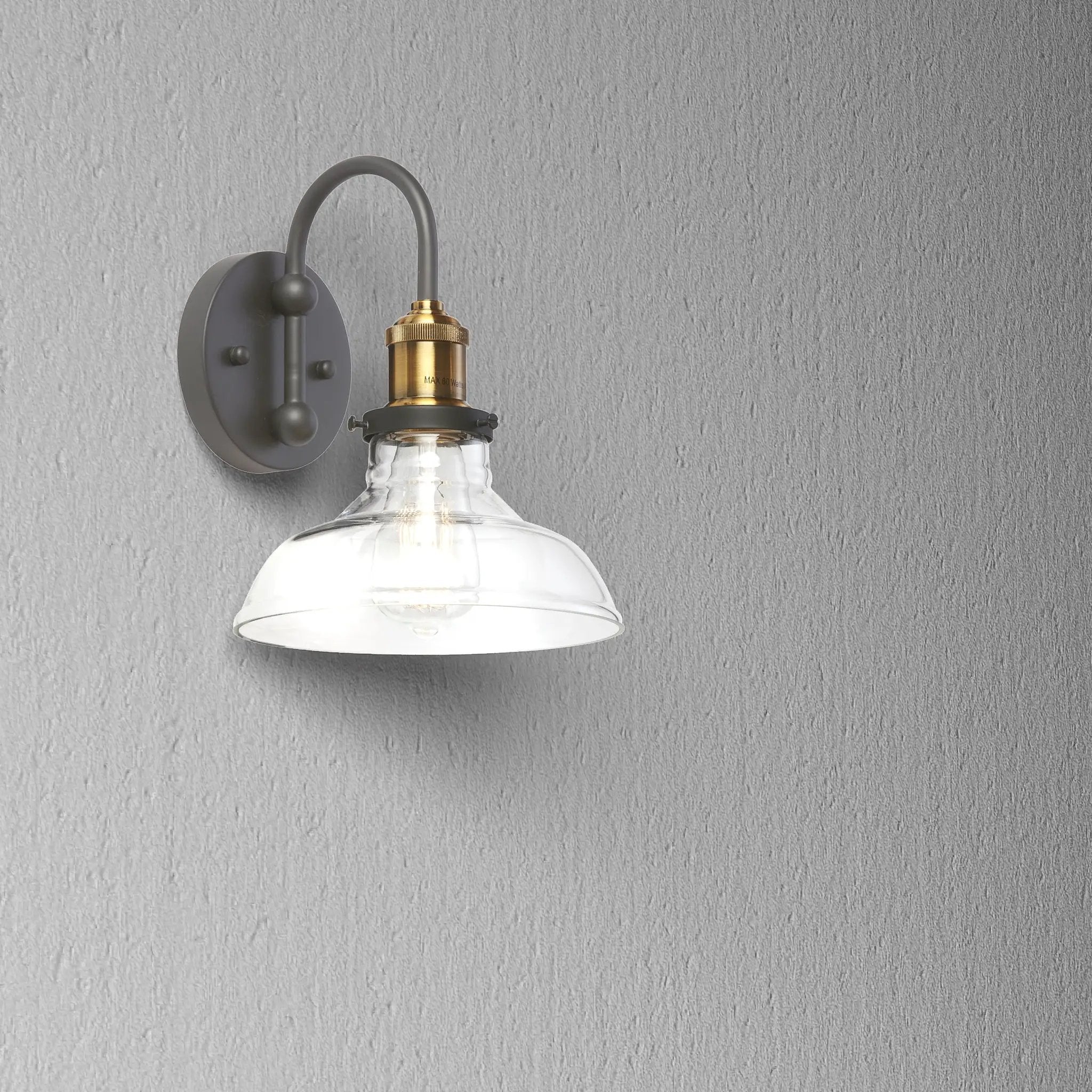 black and antique brass with clear glass wall sconce