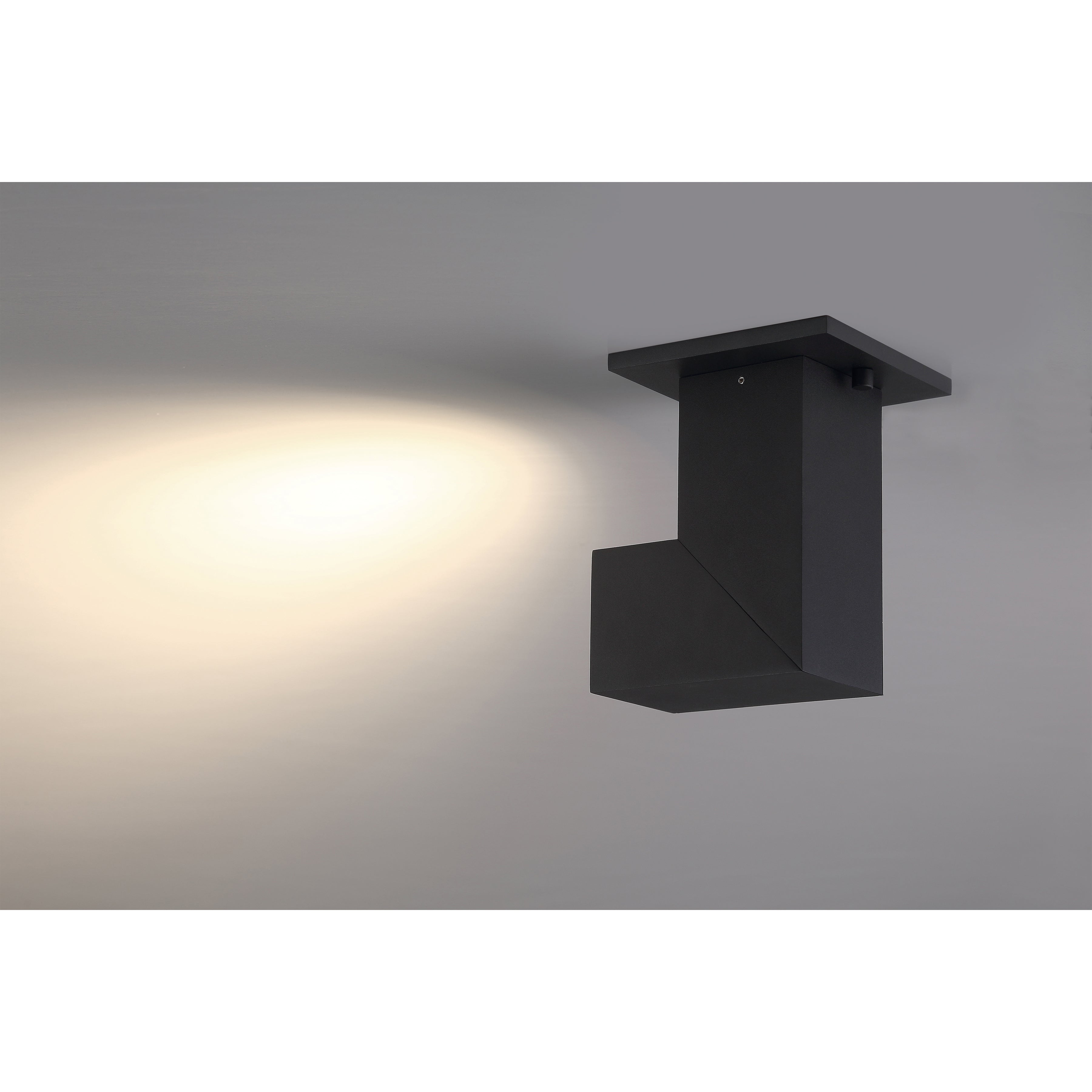 black dual voltage adjustable led spotlight