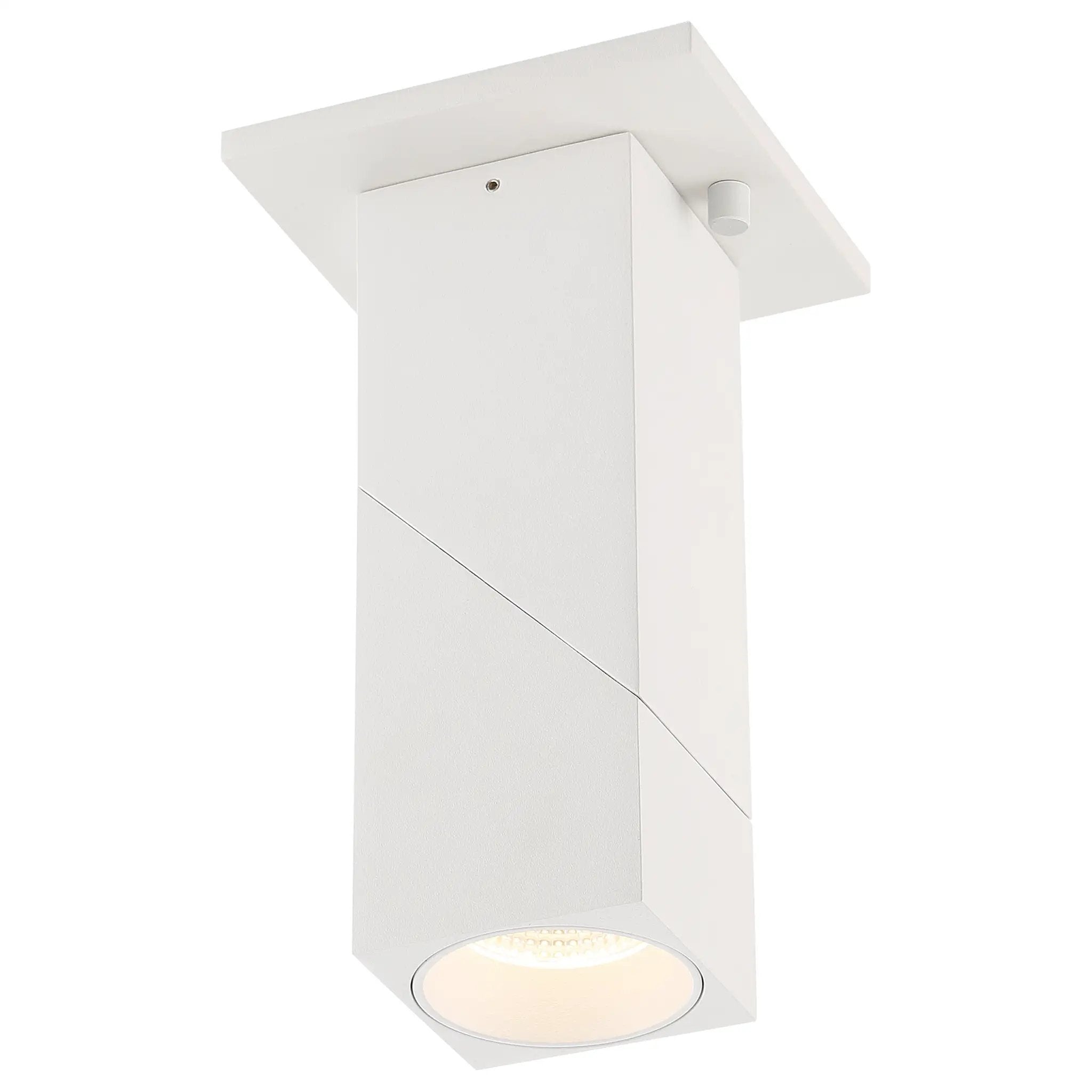 white dual voltage adjustable led spotlight