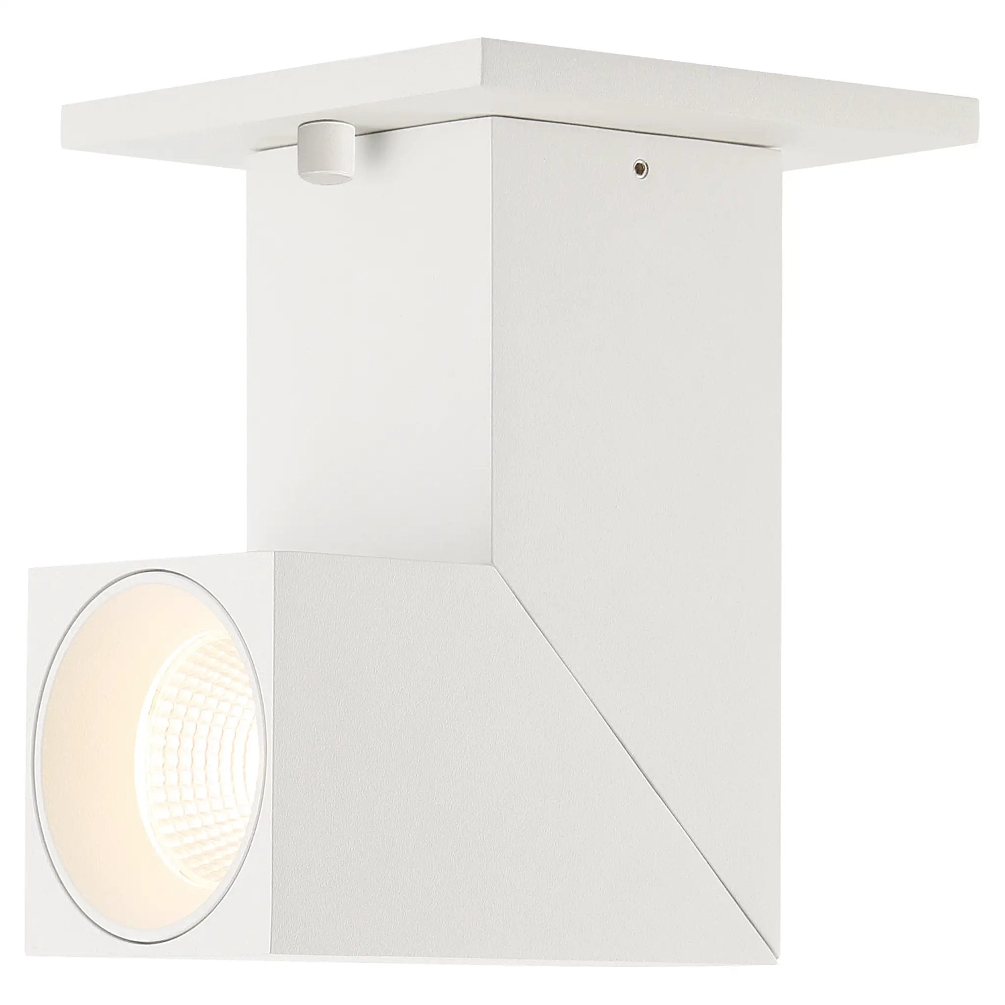 white dual voltage adjustable led spotlight