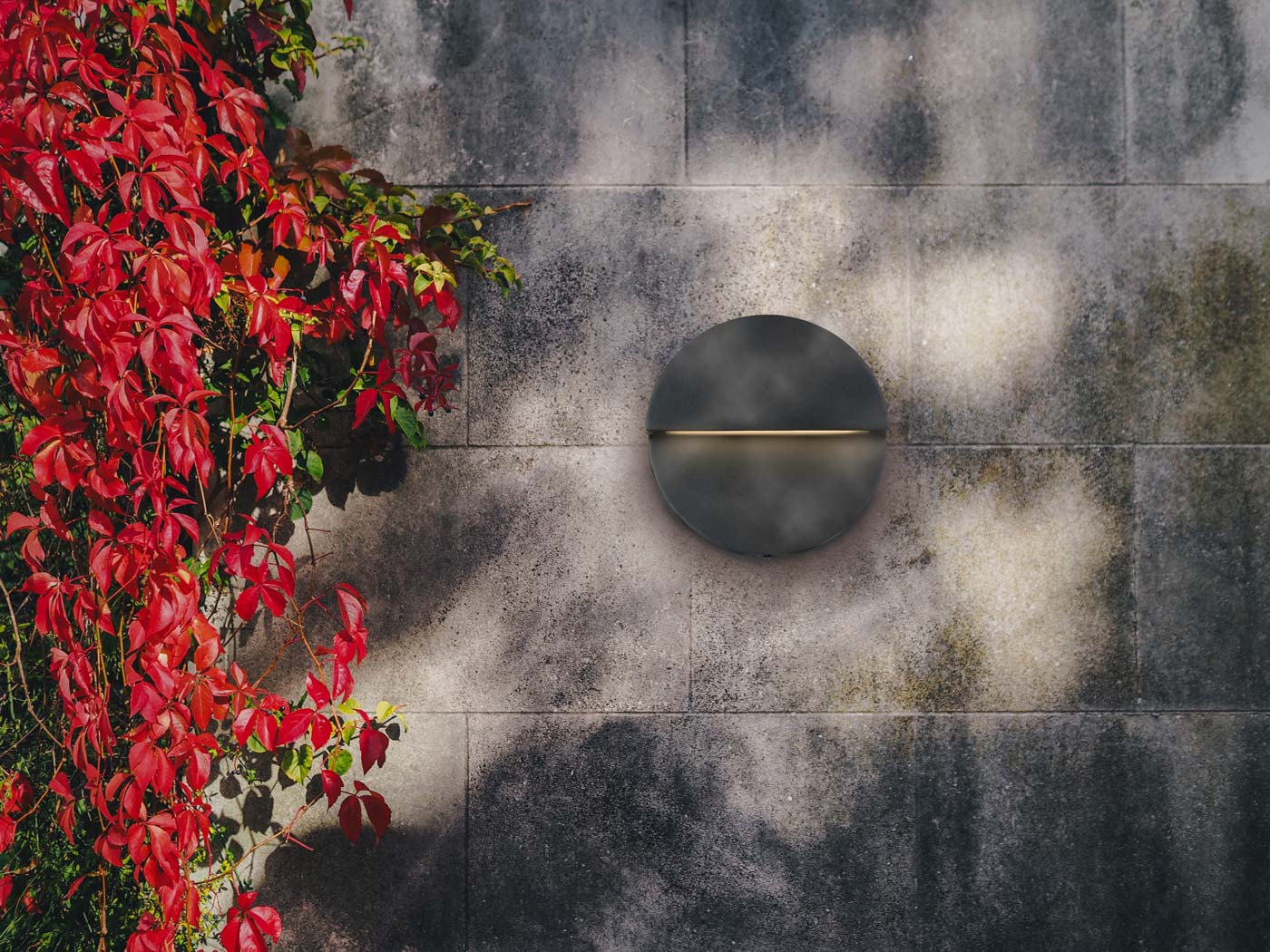 matte black/bronze light