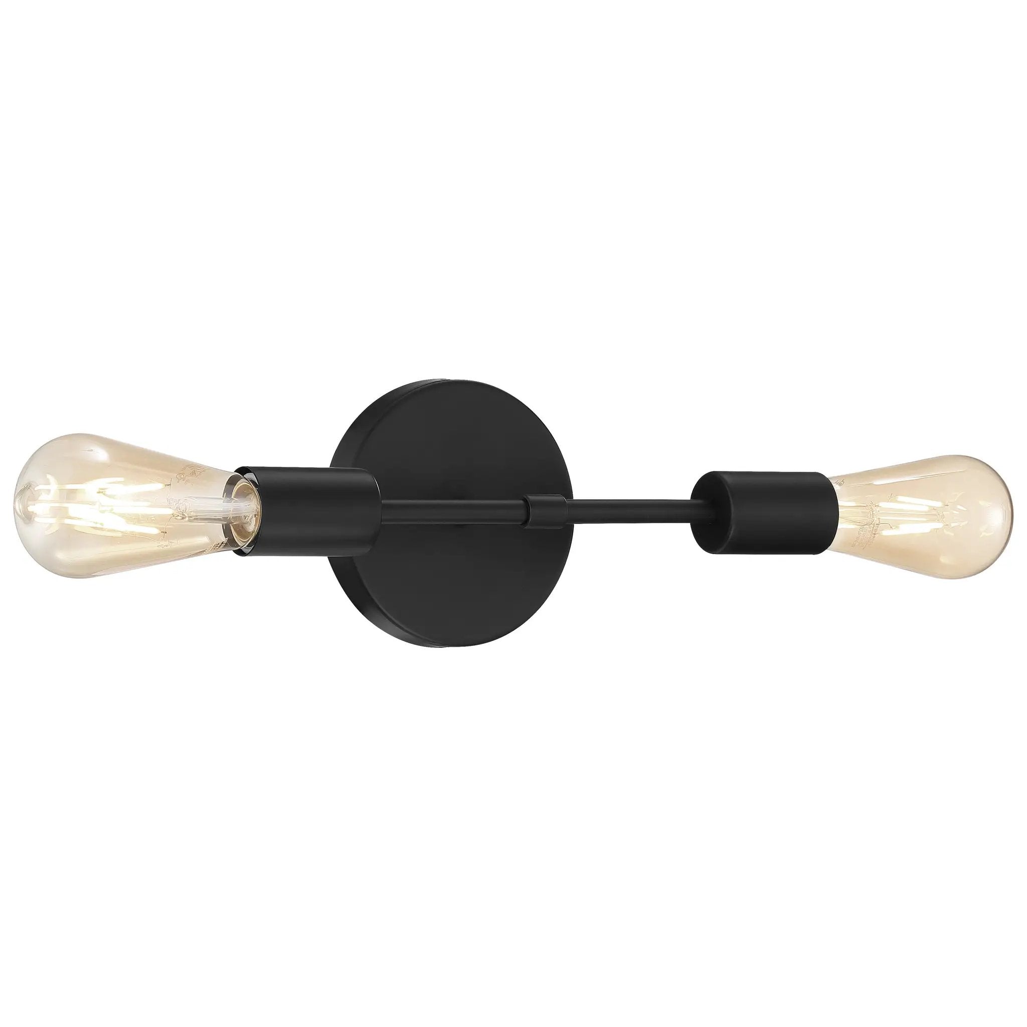 Access Lighting Iconic 2 Light LED Wall Sconce by Access Lighting
