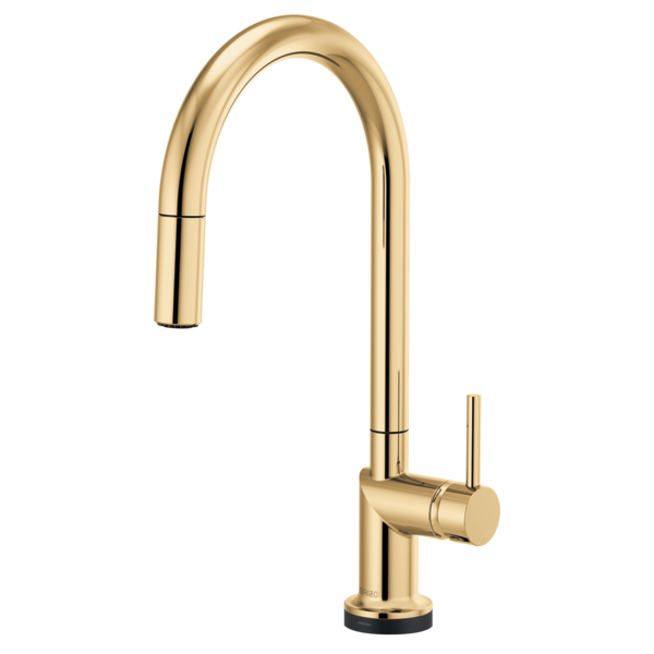 polished gold pull-down faucet
