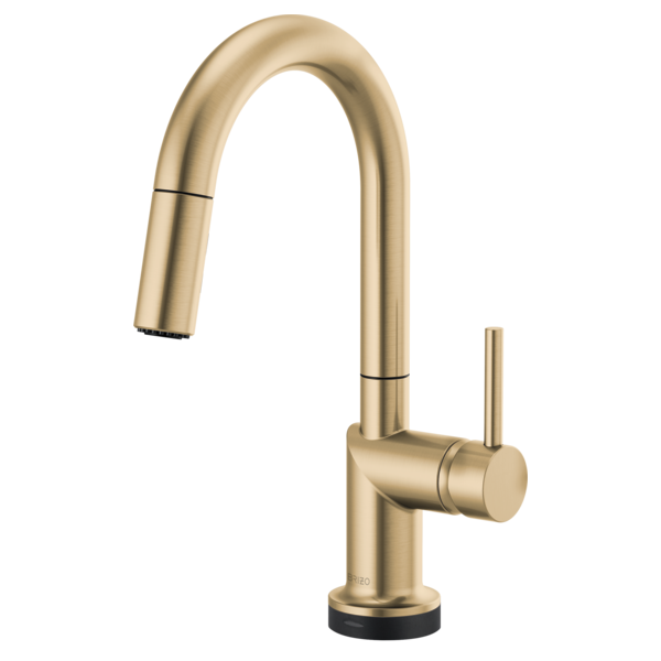 luxe gold kitchen faucet