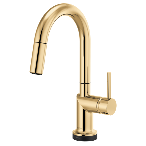 polished gold kitchen faucet