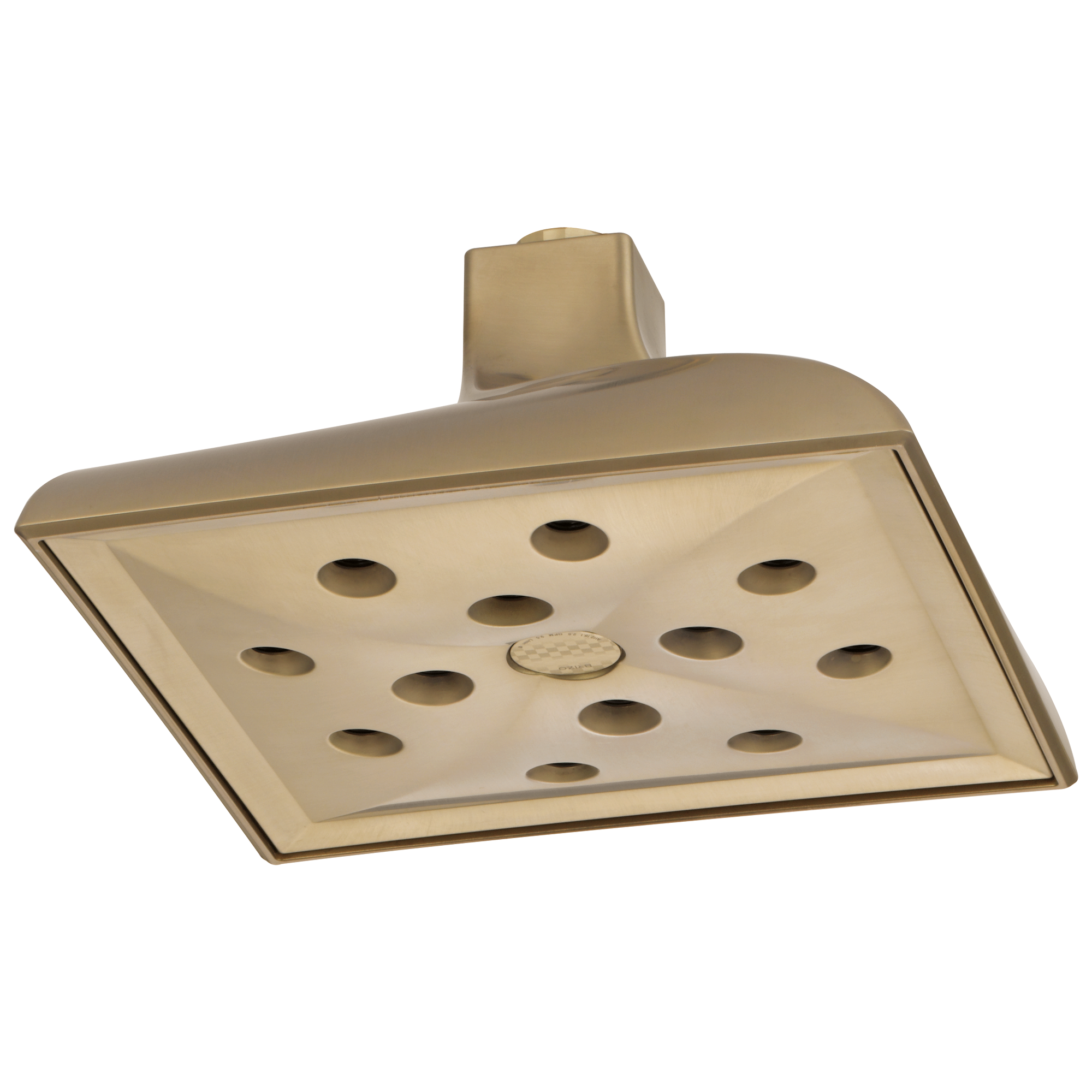 luxe gold showerhead