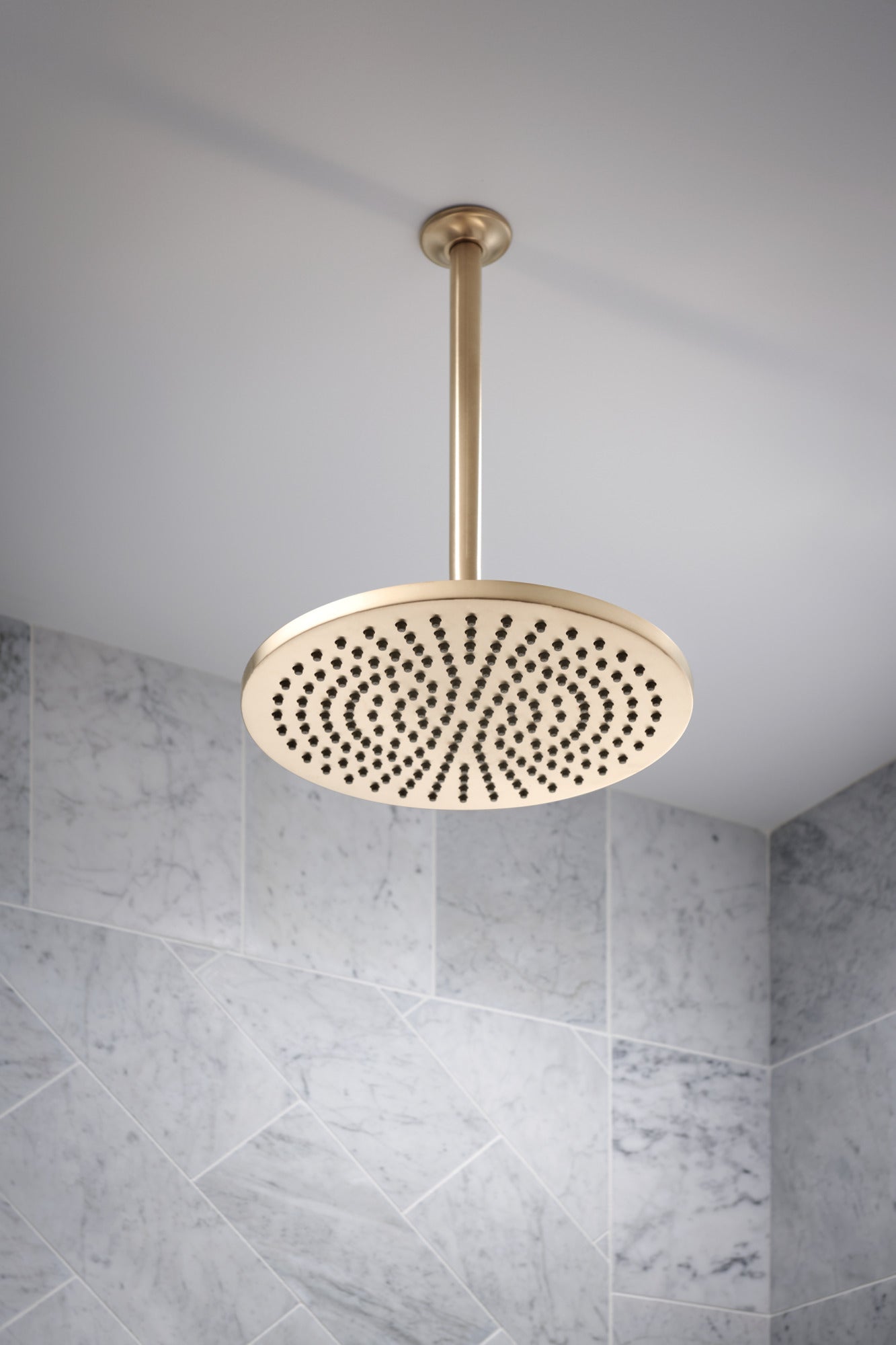 luxe gold shower head