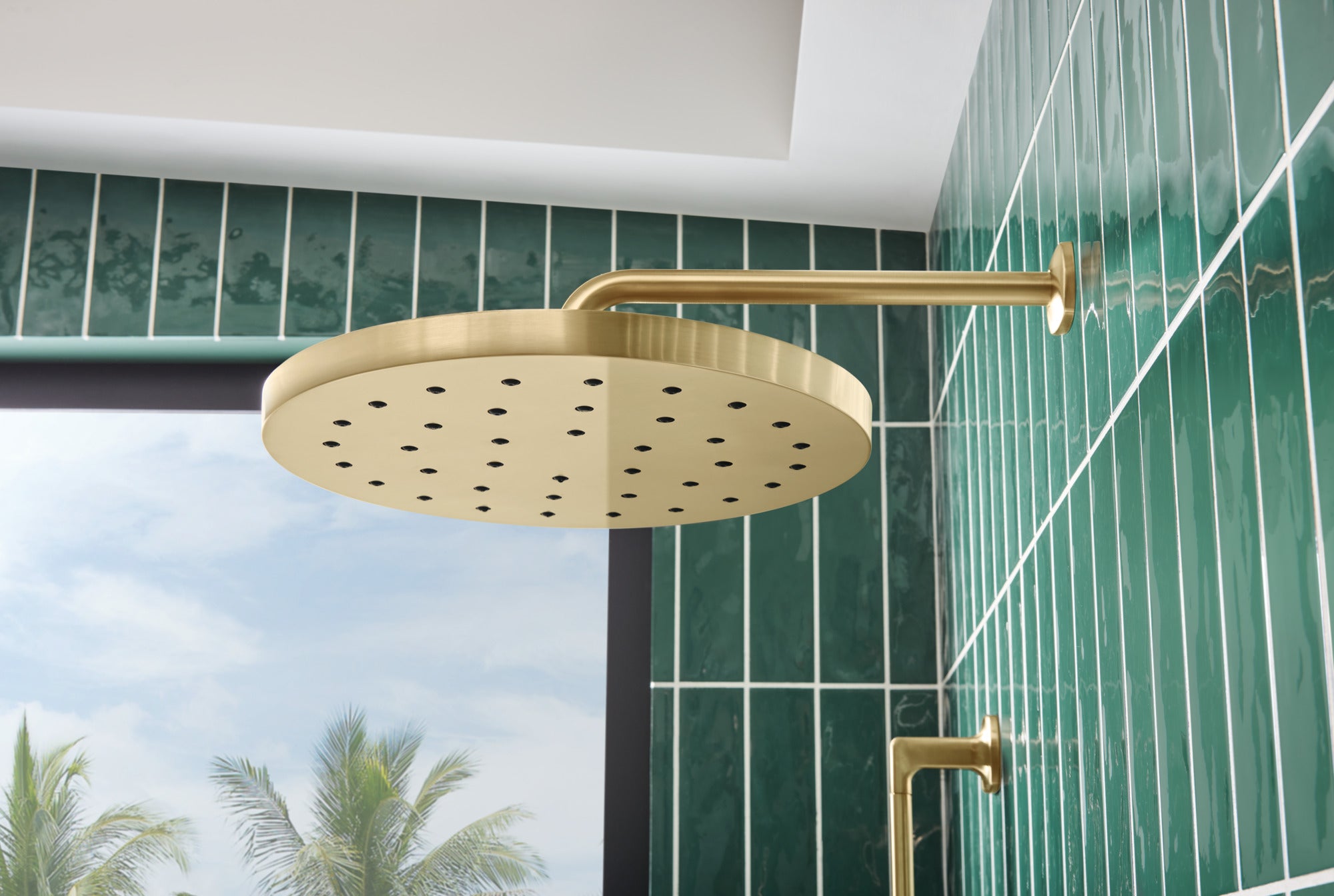 luxe gold shower arm and flange