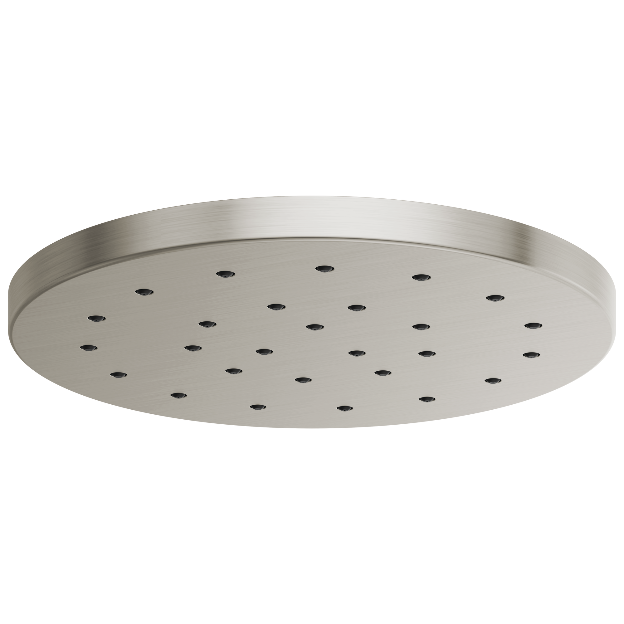 luxe nickel shower head