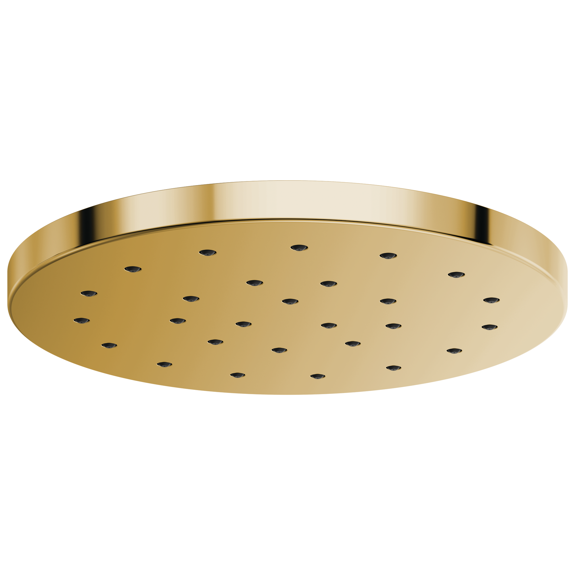 polished gold shower head