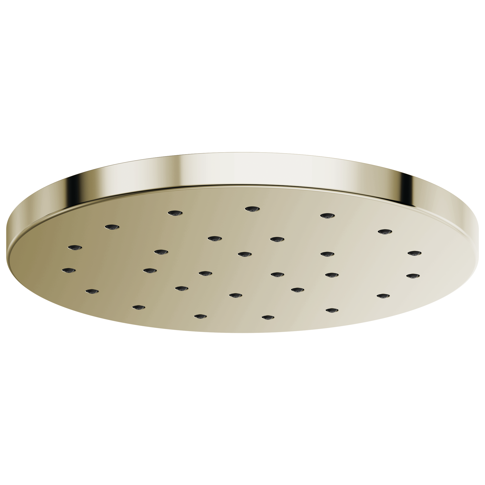 polished nickel shower head