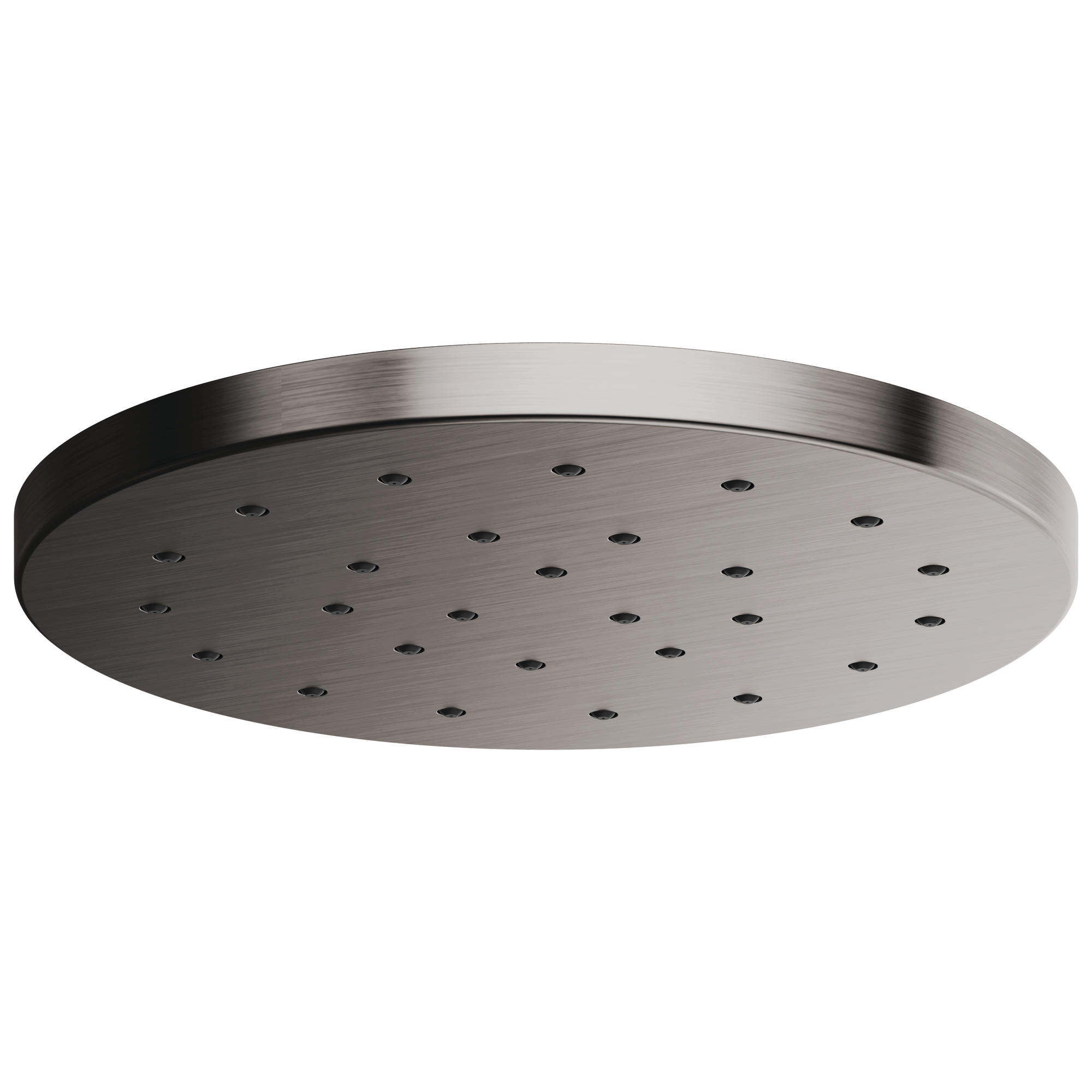 luxe steel shower head