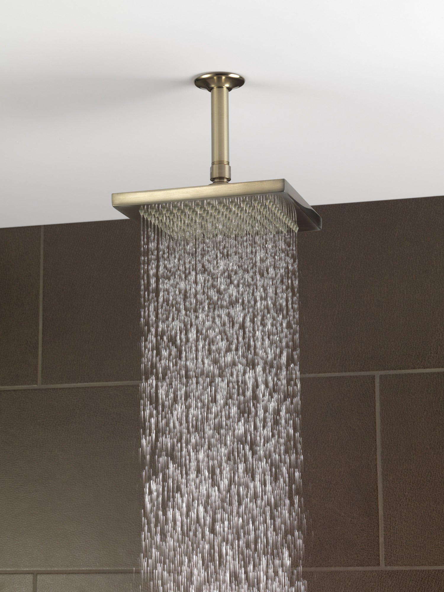 brushed nickel shower head