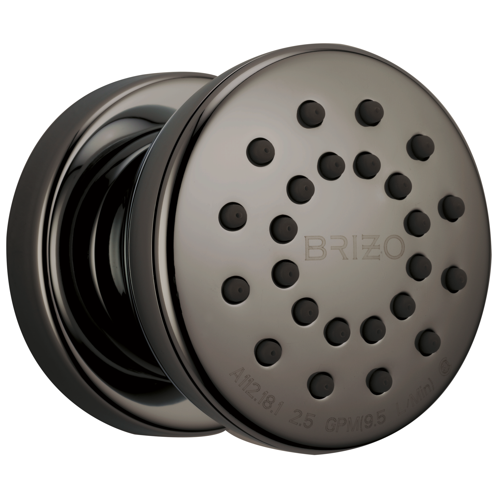 Brizo Universal Showering Touch-Clean Round Body Spray