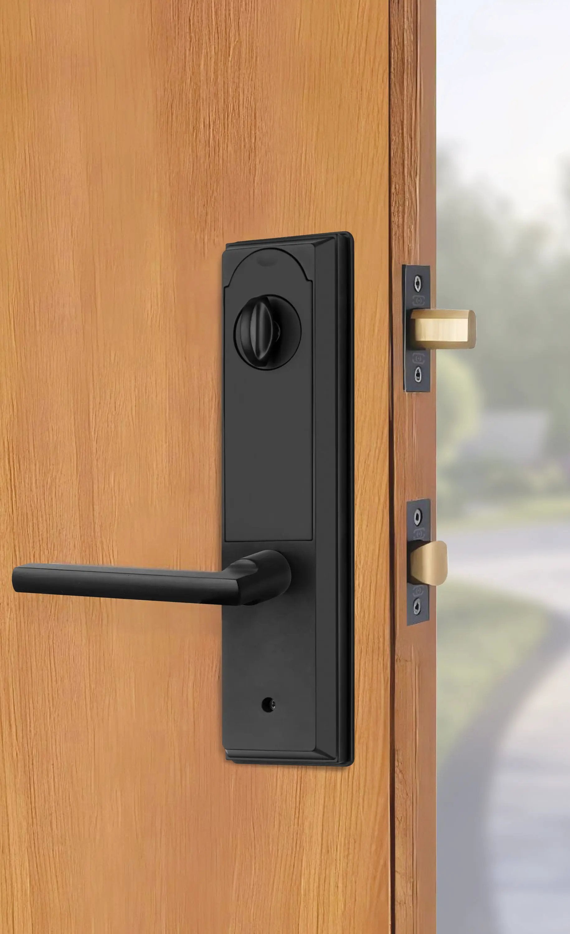 Omnia 8669 Rectangular Full Grip Electronic Entrance Handleset