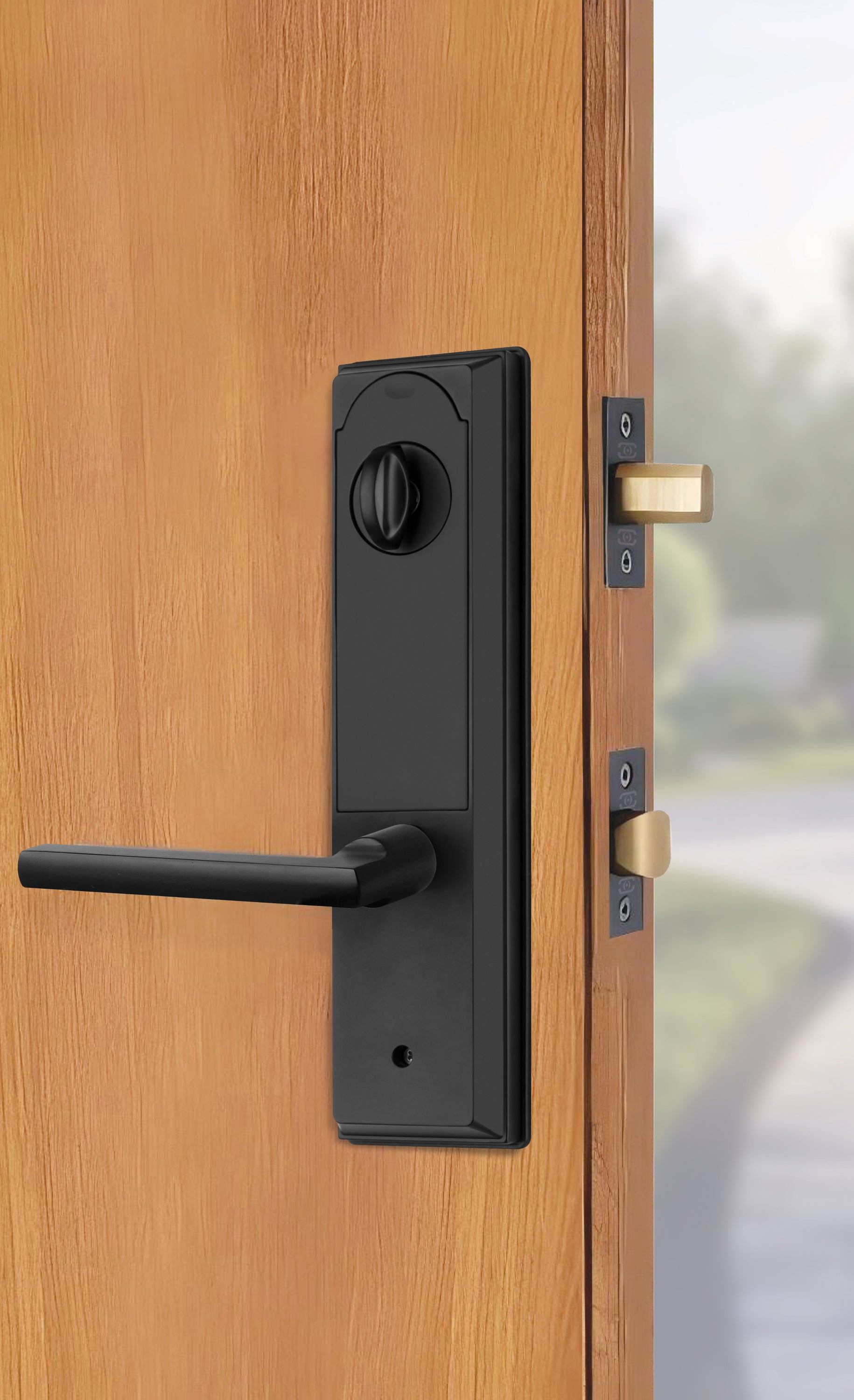 black door knob