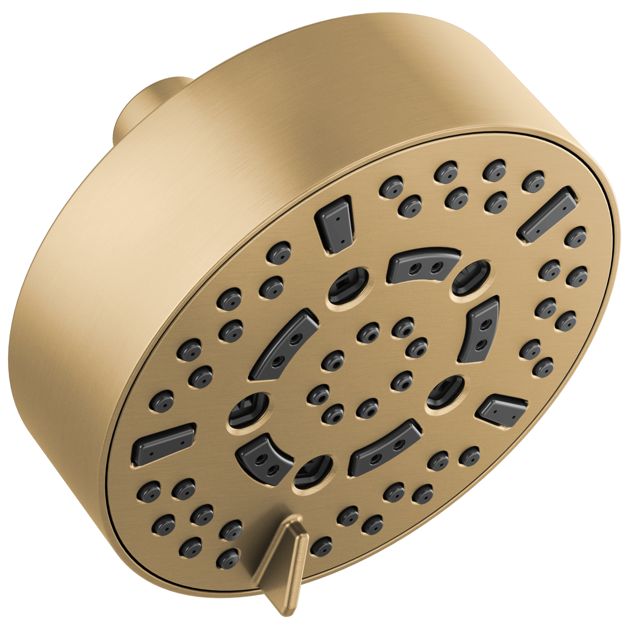 luxe gold shower head