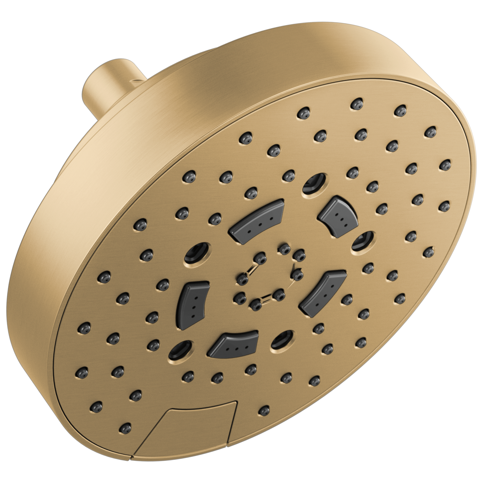 luxe gold shower head