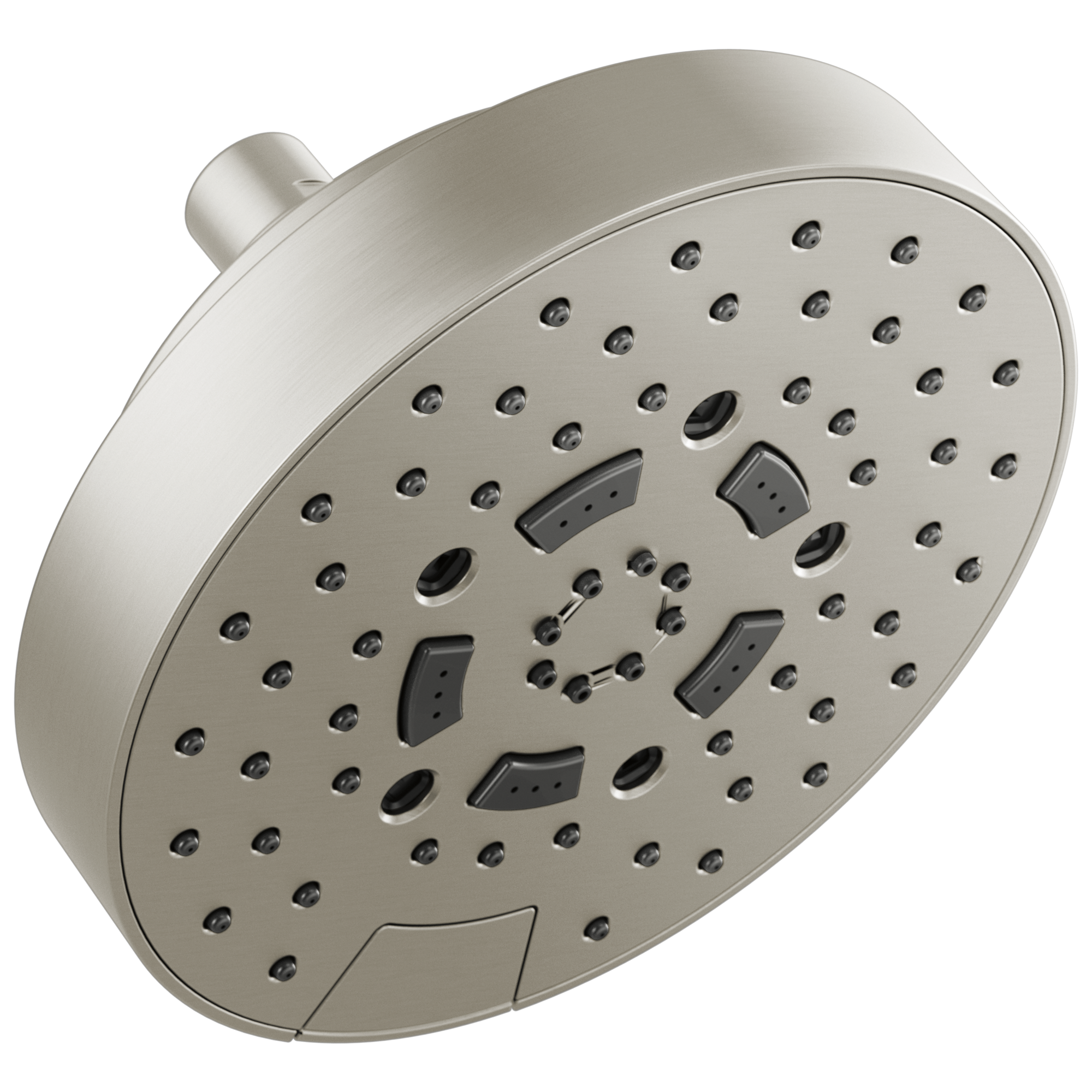 luxe nickel shower head