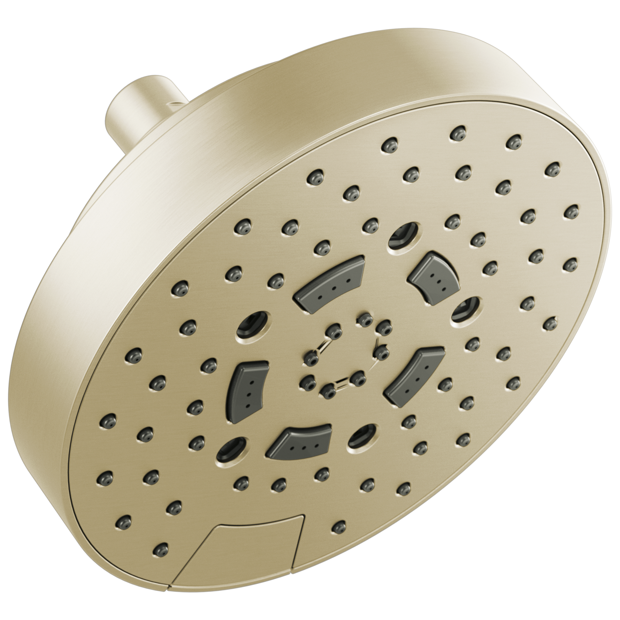 polished nickel shower head