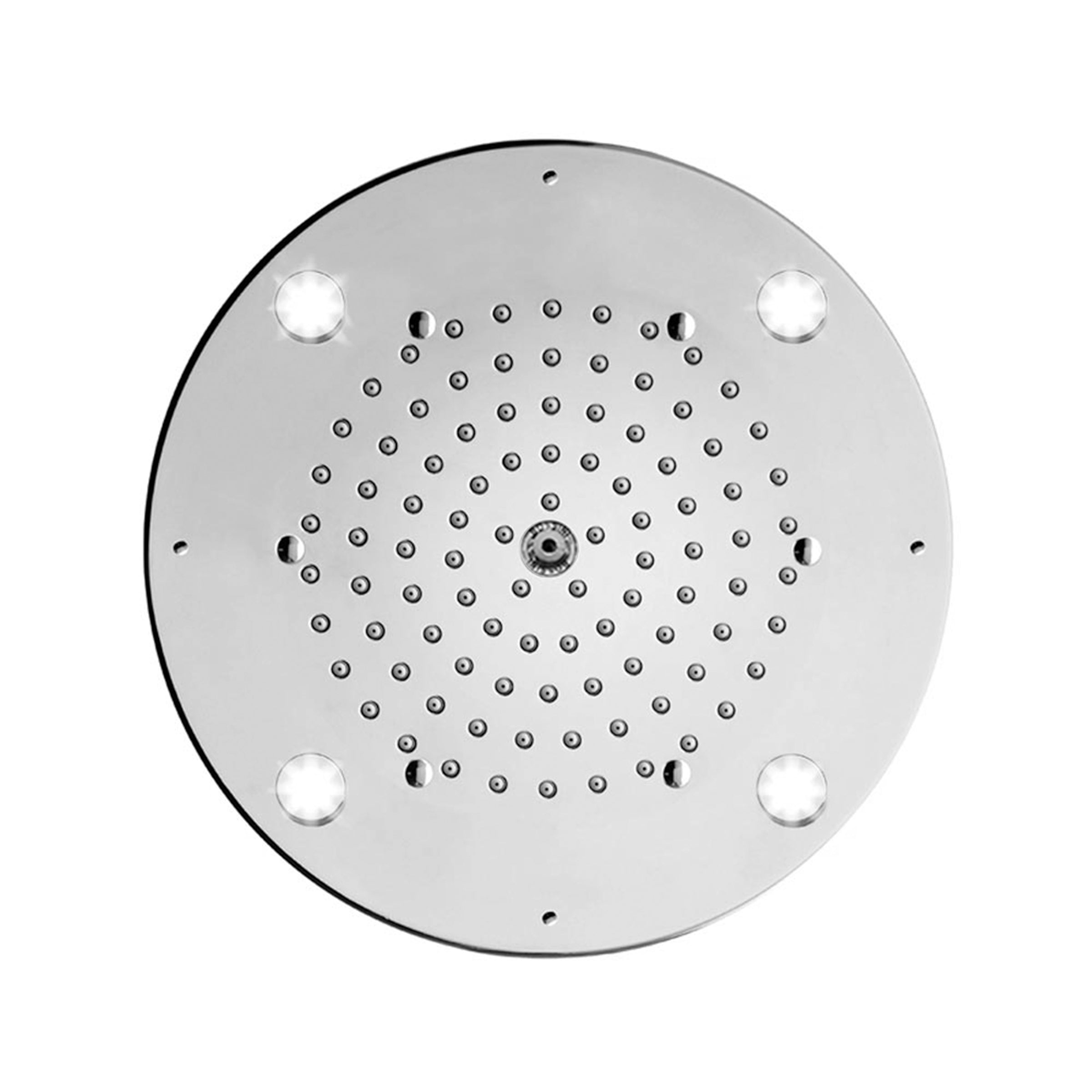 polished chrome shower head