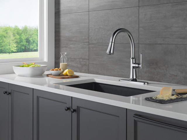 arctic stainless kitchen faucet