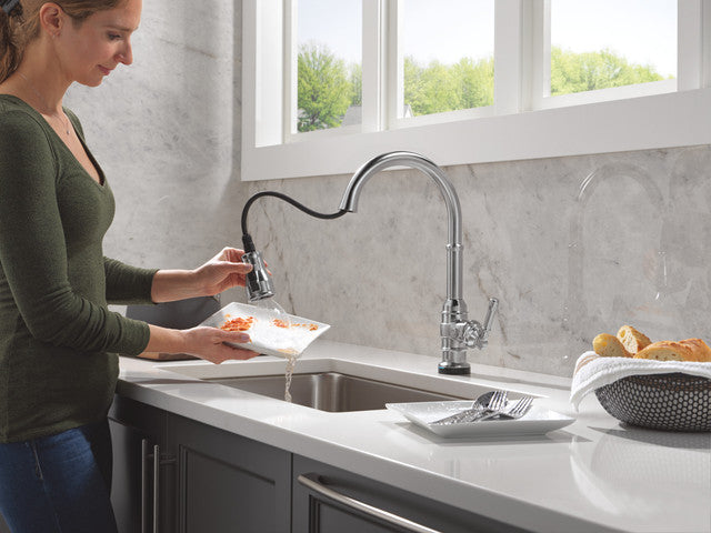 arctic stainless kitchen faucet