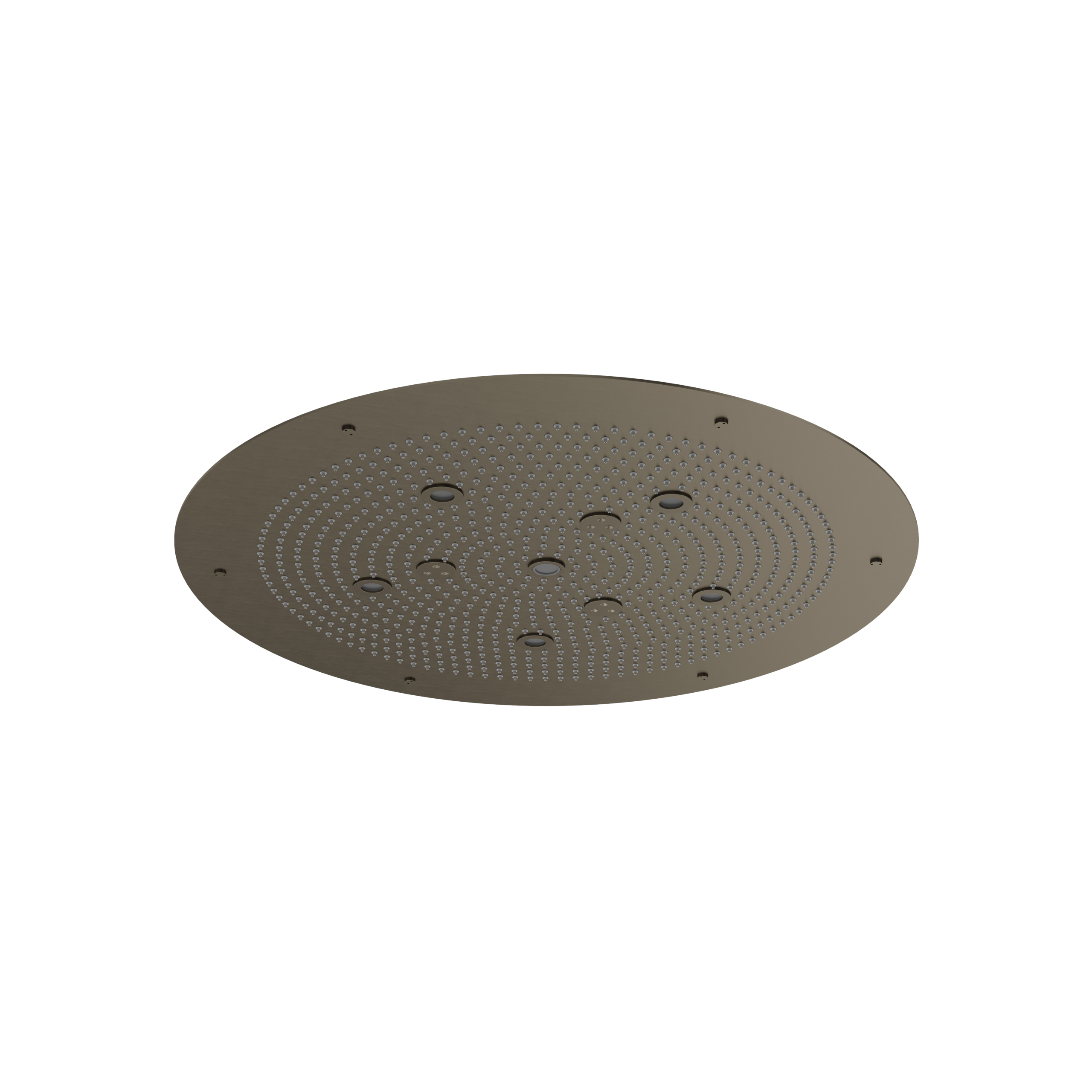 brushed black chrome shower head