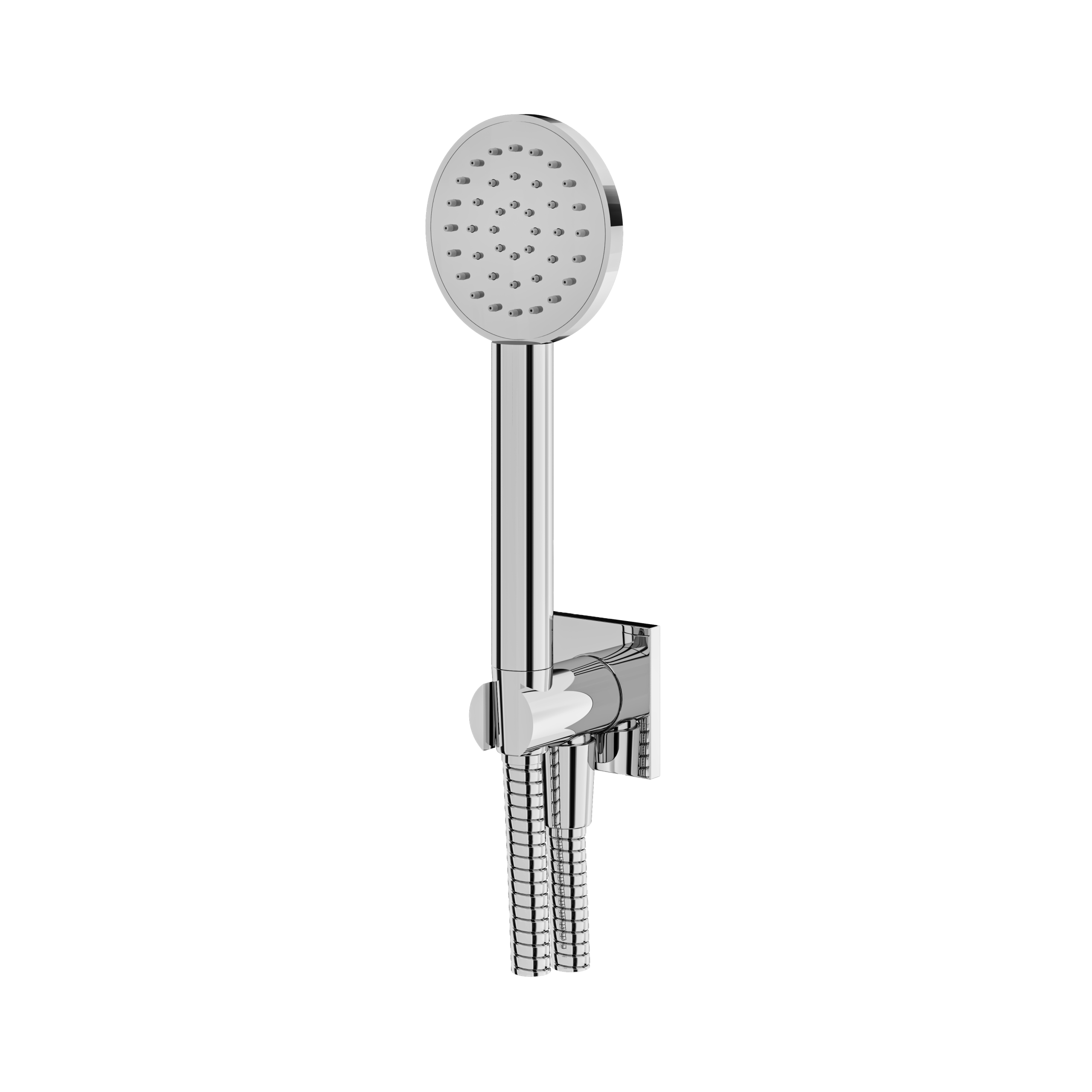 polished chrome hand shower