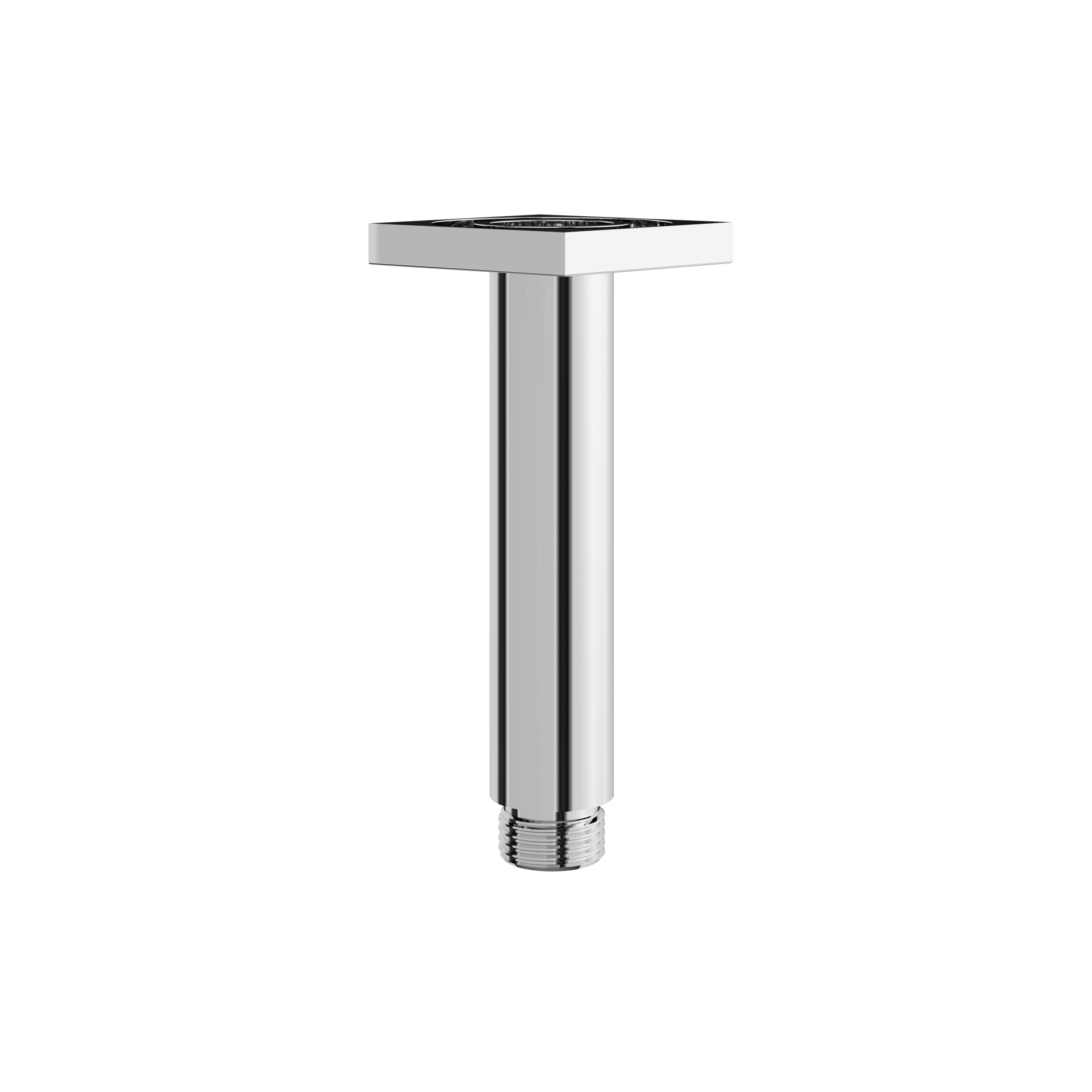 polished chrome shower head