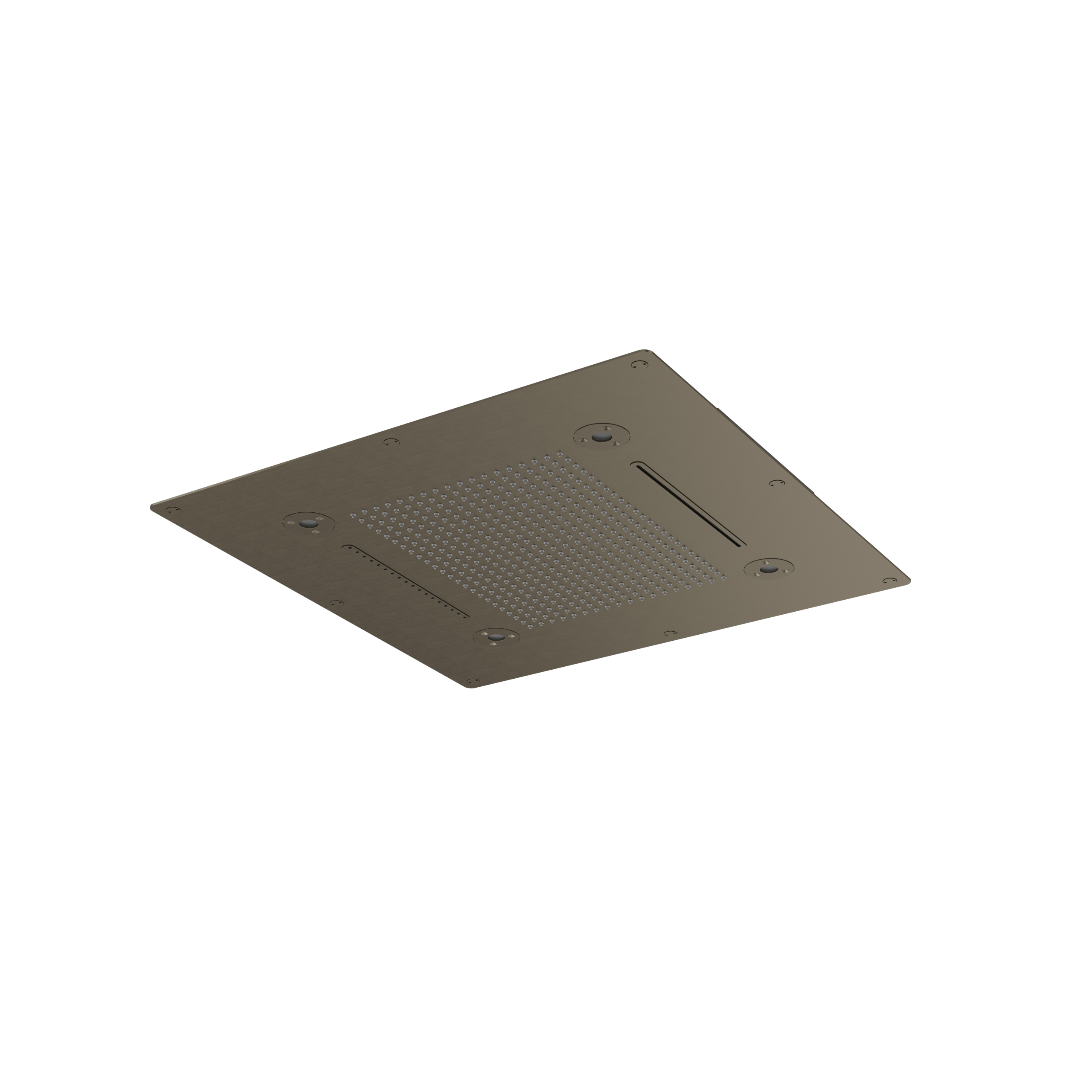 brushed black chrome shower head