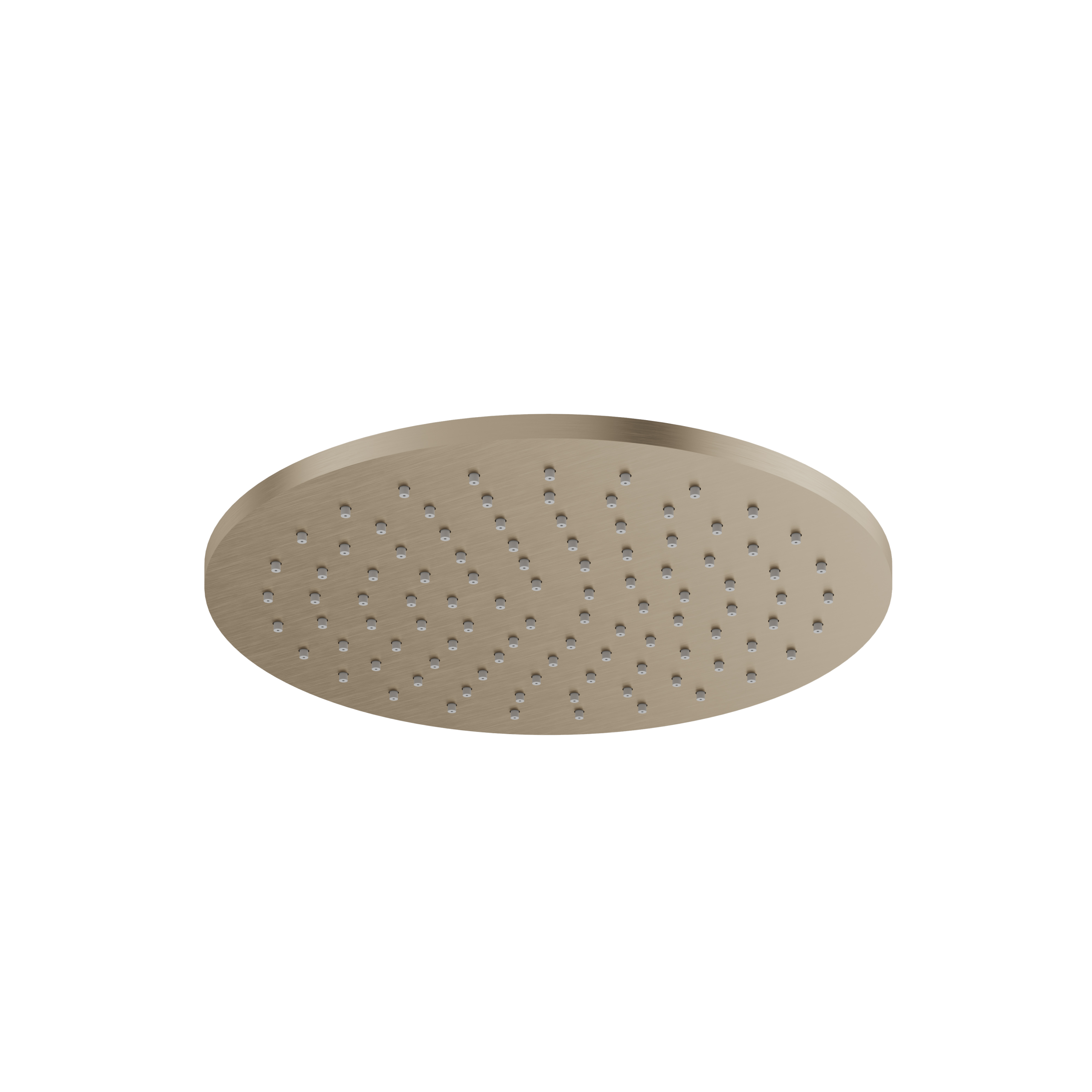 Aquabrass 10" Round Rainhead by Aquabrass