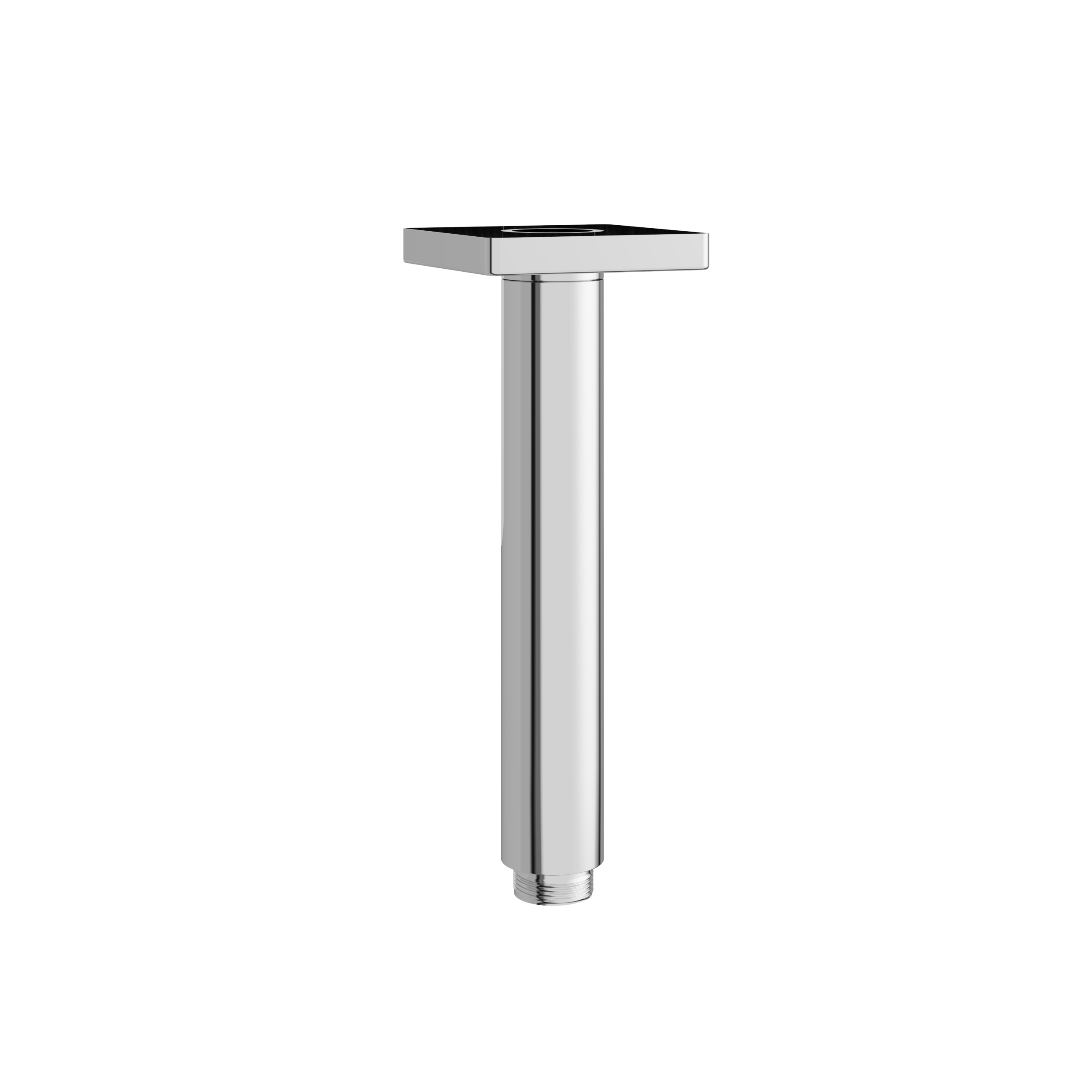 polished chrome shower head