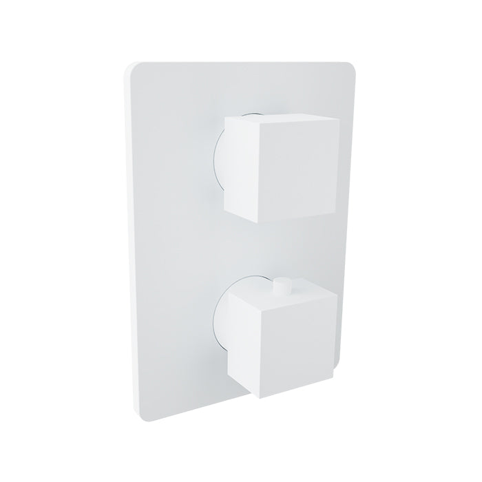 Baril Rec Complete Thermostatic Pressure Balanced Shower Control Valve with 3-Way Diverter - Shared Ports