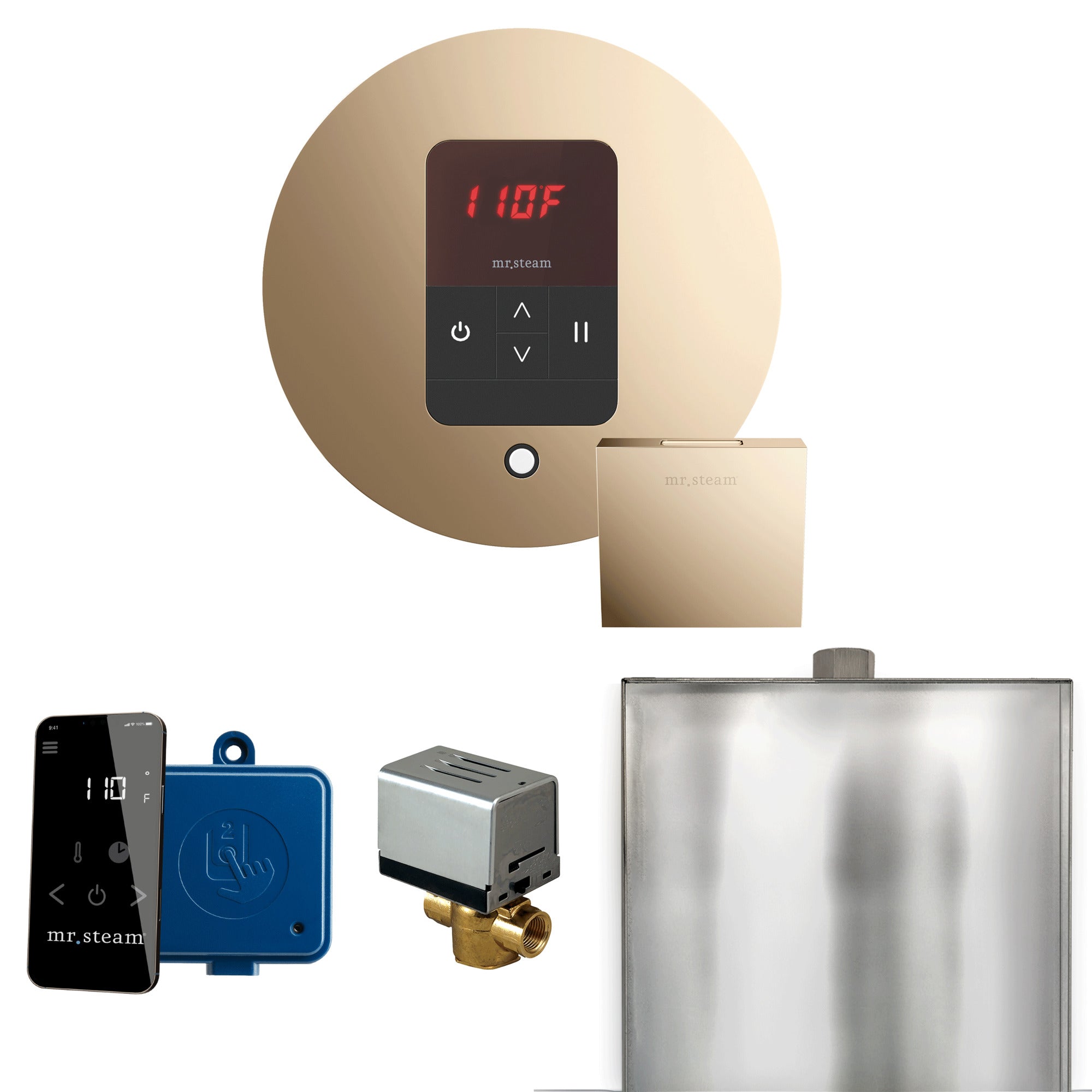 Mr Steam Basic Butler Steam Shower Control Package with Round iTempo Control and Steamhead