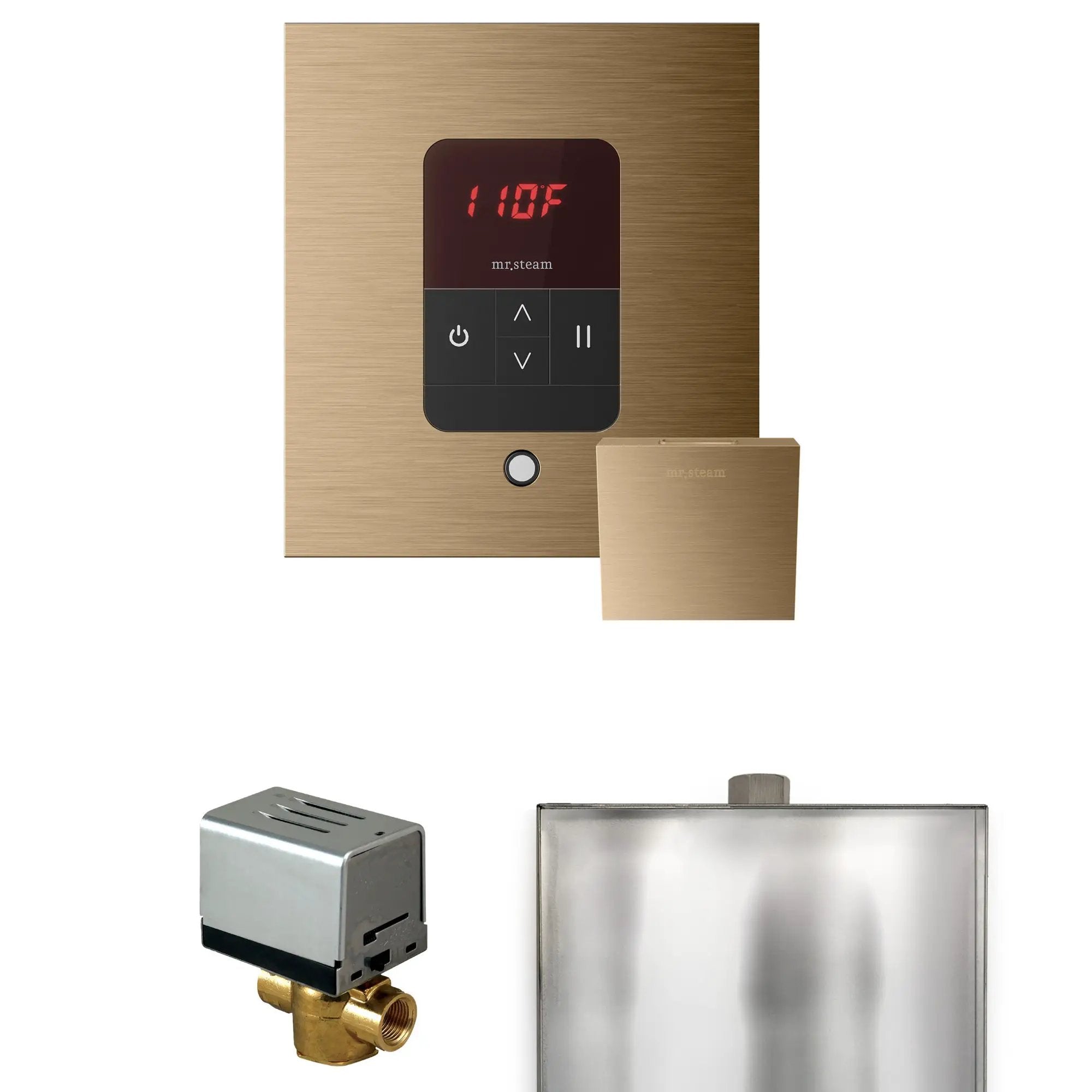 Mr Steam Basic Butler Steam Shower Control Package with Square iTempo Control and Steamhead by Mr Steam