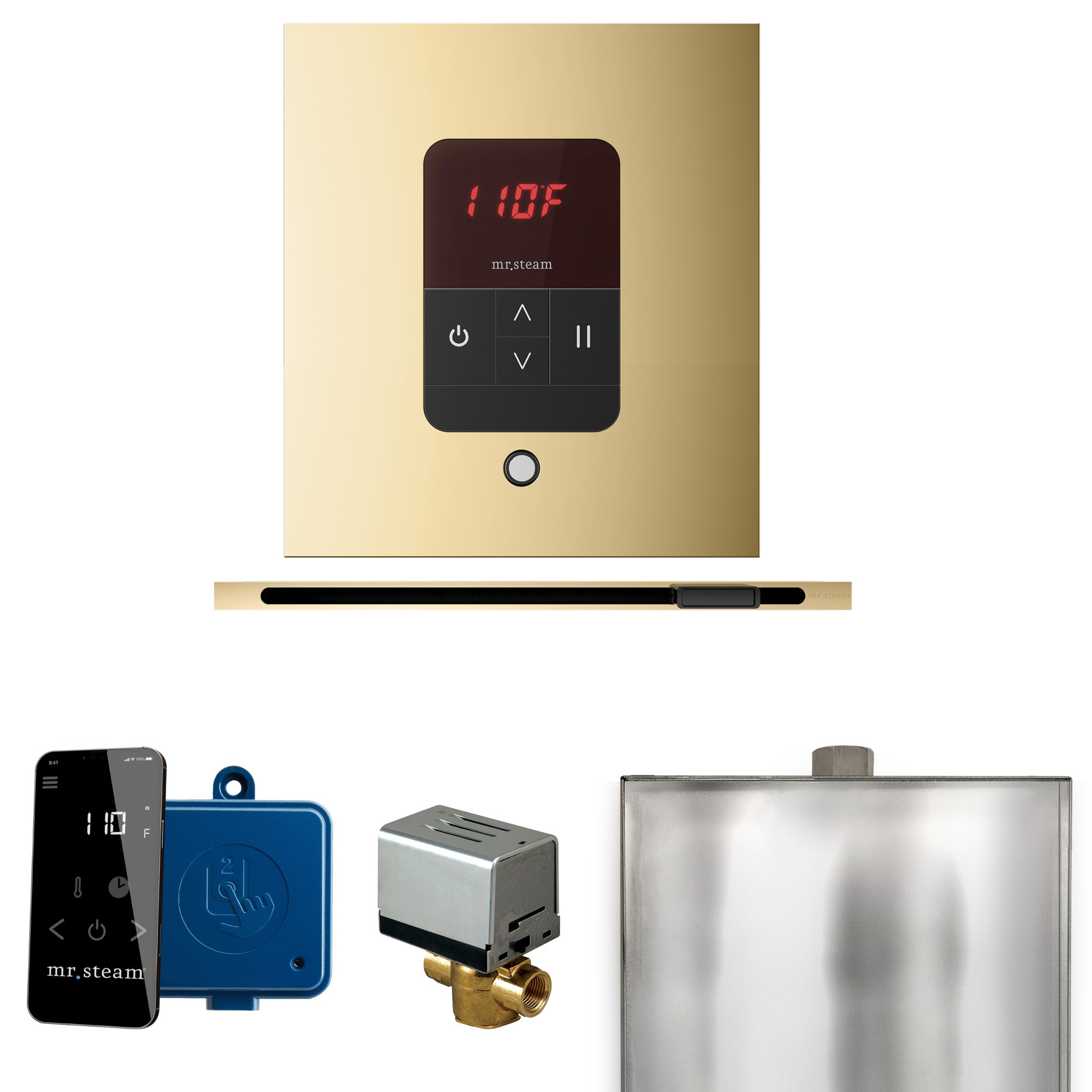 Mr Steam Basic Butler Steam Shower Control Package with Square iTempo Control and Linear Steamhead