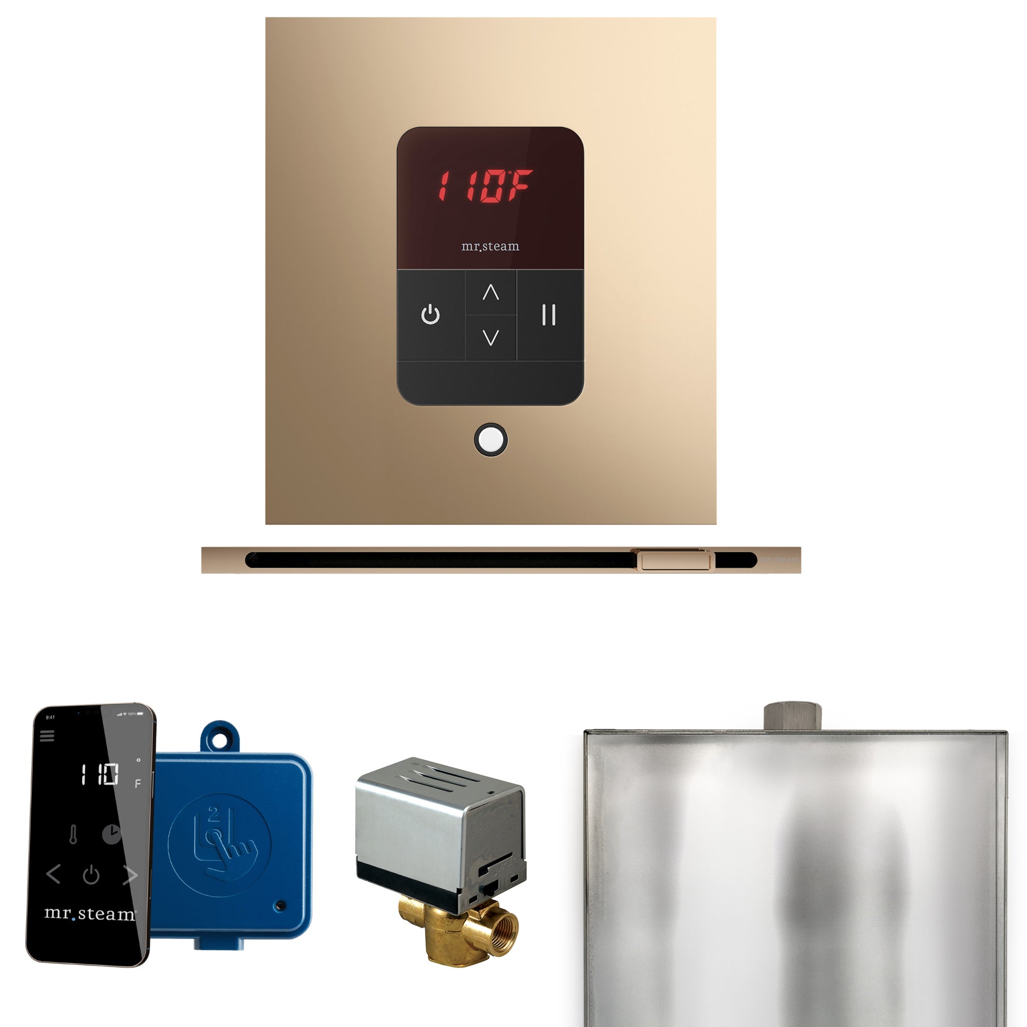 Mr Steam Basic Butler Steam Shower Control Package with Square iTempo Control and Linear Steamhead