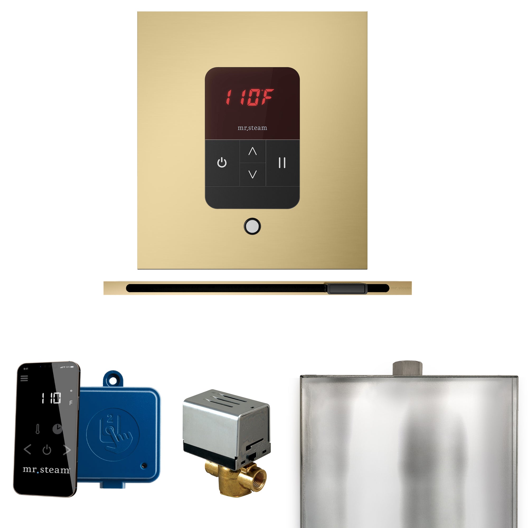 Mr Steam Basic Butler Steam Shower Control Package with Square iTempo Control and Linear Steamhead