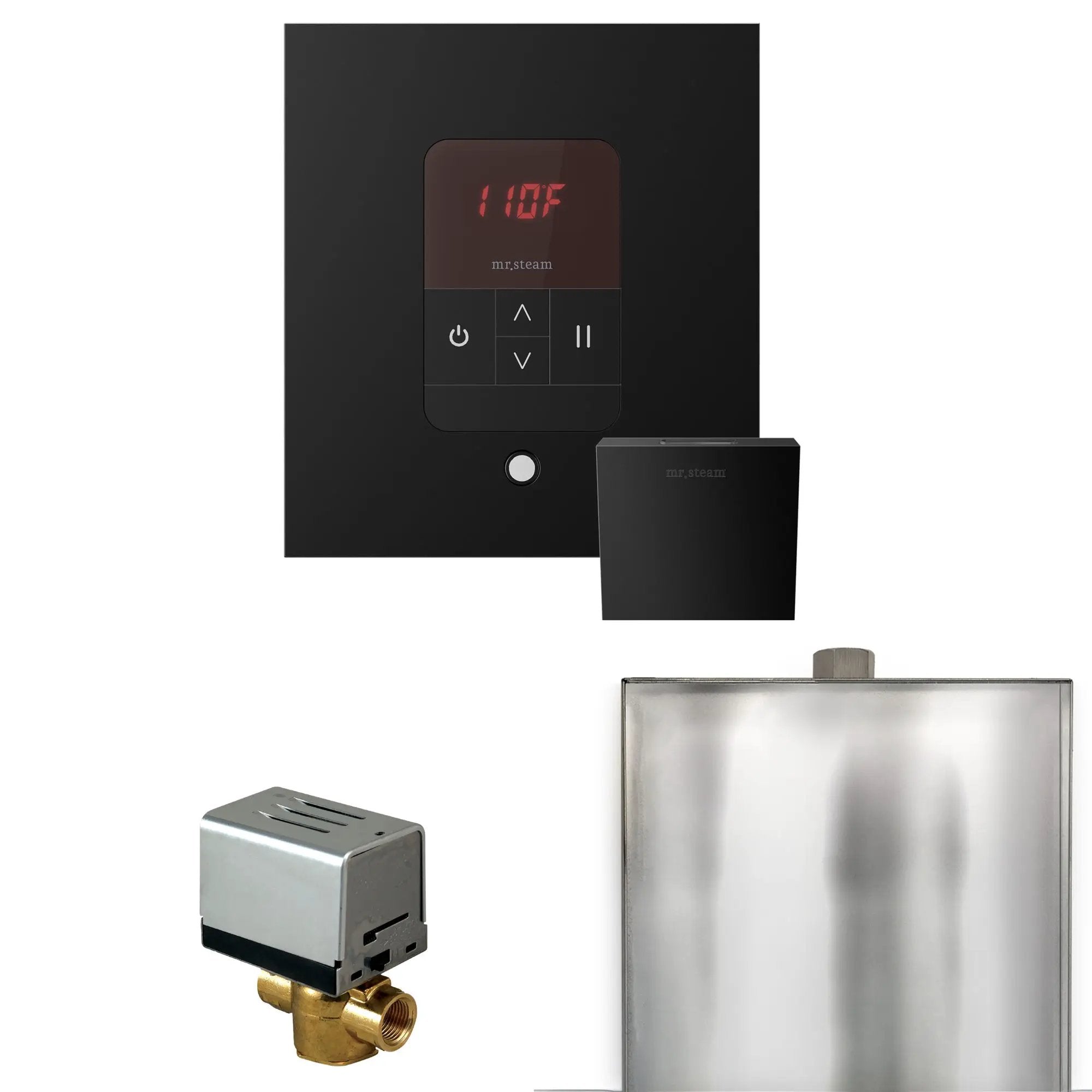 Mr Steam Basic Butler Steam Shower Control Package with Square iTempo Control and Steamhead by Mr Steam
