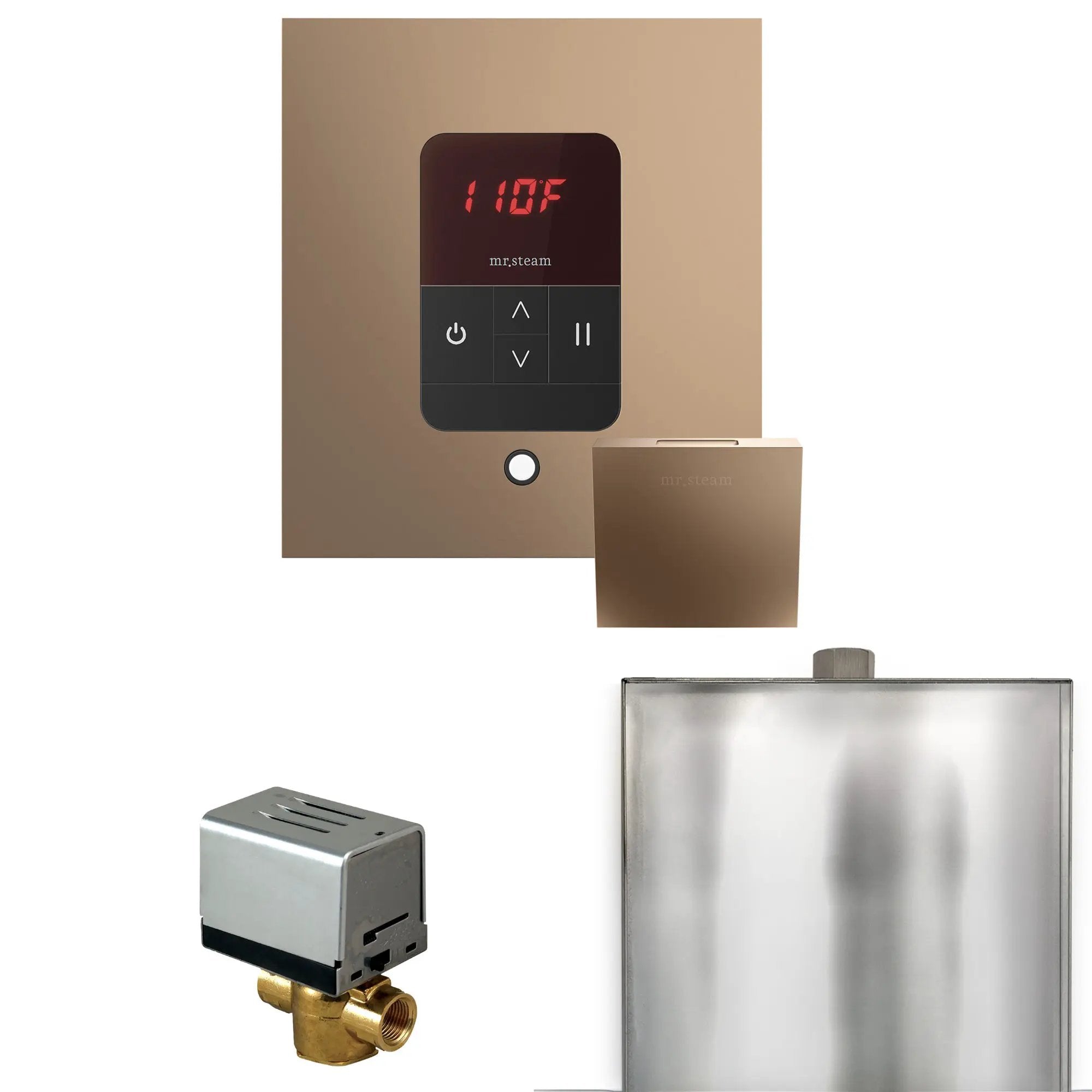 Mr Steam Basic Butler Steam Shower Control Package with Square iTempo Control and Steamhead by Mr Steam